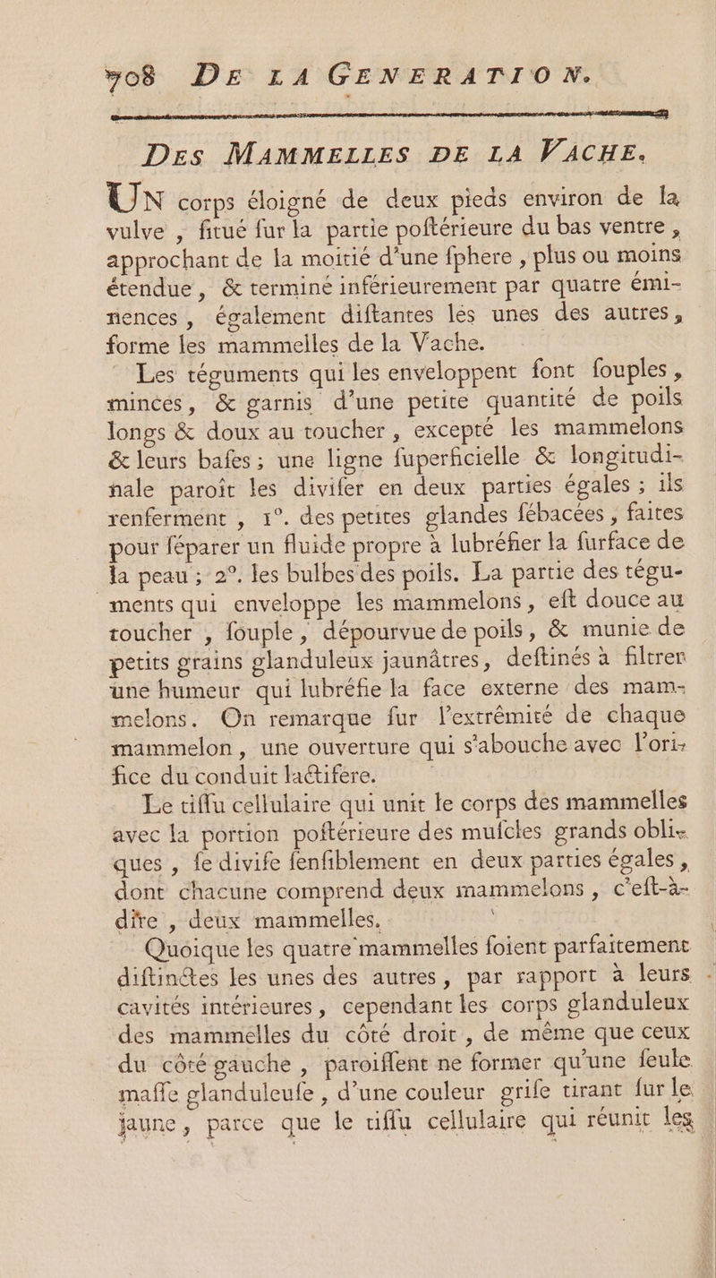 Rss Des MAMMELLES DE LA VACHE. UX corps éloigné de deux pieds environ de Îa vulve , fitué fur la partie poftérieure du bas ventre, approchant de la moitié d’une fphere , plus ou moins étendue, &amp; terminé inférieurement par quatre émi- mences , également diftantes lés unes des autres, forme les mammelles de la Vache. Les téguments qui les enveloppent font fouples, mincés, &amp; garnis d’une petite quantité de poils longs &amp; doux au toucher, excepté les mammelons &amp; leurs bafes ; une ligne fuperficielle &amp; longitudi- nale paroïît les divifer en deux parties égales ; ils renferment , 1°. des petites glandes fébacées , faites pour féparer un fluide propre à lubréfier la furface de {a peau ; 2°. les bulbes des poils. La partie des tégu- ments qui enveloppe les mammelons, eft douce au toucher , fouple, dépourvue de poils, &amp; munie de petits grains glanduleux jaunâtres, deftinés à filtrer une humeur qui lubréfie la face externe des mam- melons. On remarque fur l’extrêémiré de chaque mammelon, une ouverture qui s'abouche avec l'ori: fice du conduit laétifere. Le tiffu cellulaire qui unit le corps des mammelles avec la portion poftérieure des mufcles grands obli- ques , fe divife fenfiblement en deux parties égales, dont chacune comprend deux mammelons, c'eft-à- dire , deux mammelles, | Quoique les quatre mammelles foient parfaitement cavités intérieures, cependant les corps glanduleux des mammelles du côté droit , de même que ceux du côté gauche , paroiflent ne former qu'une feule maffe glanduleufe , d’une couleur grife tirant furle jaune, parce que le tiffu cellulaire qui réunit les