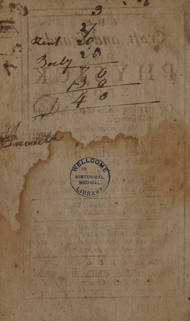 ie “Ruabon: a ST aa ee ae tie: ~