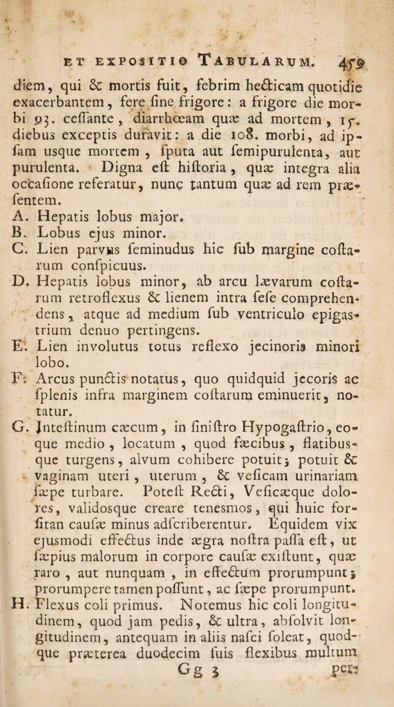 diem, qui 8c mortis fuit, febrim hefticam quotidie exacerbantem, fere fine frigore: a frigore die mor¬ bi 93. ceflante , diarrhoeam quae ad mortem, 13% diebus exceptis duravit: a die 108. morbi, ad ip- fam usque morccm , fputa aut femipurulenta, aut purulenta. Digna ell hiftoria , quae integra alia octafione referatur, nunc tantum qute ad rem prae- fentem. A. Hepatis lobus major. B. Lobus ejus minor. C. Lien parvws feminudus hie fub margine colla¬ rum confpicuus. D. Hepatis lobus minor, ab arcu laevarum colla¬ rum retroflexus £c lienem intra fefe comprehen¬ dens , atque ad medium fub ventriculo epigas¬ trium denuo pertingens. E. Lien involutus totus reflexo jecinoris minori lobo. F‘. Arcus pun£tis notatus, quo quidquid jecoris ac fplenis infra marginem collarum eminuerit, no¬ tatur. G. Jntellinum cxcum, in finillro Hypogallrio, co¬ que medio , locatum , quod faecibus , flatibus¬ que turgens, alvum cohibere potuit3 potuit vaginam uteri , uterum , veficam urinariam fiepe turbare. Poteil: Recti, Veficaeque dolo¬ res, validosque creare tenesmos, qui huic for- fitan caulae minus adfcriberentur. Equidem vix ejusmodi effedtus inde aegra nollra pafla ell, ut faepius malorum in corpore caufae exiflunt, quae raro , aut nunquam , in effedtiim prorumpunt 5 prorumpere tamen poliunt, ac laepe prorumpunt. H. Flexus coli primus. Notemus hic coli longitu¬ dinem, quod jam pedis, &: ultra, abfolvit lon¬ gitudinem, antequam in aliis nafci foleat, quod¬ que praeterea duodecim luis flexibus multum G g 1 pes-