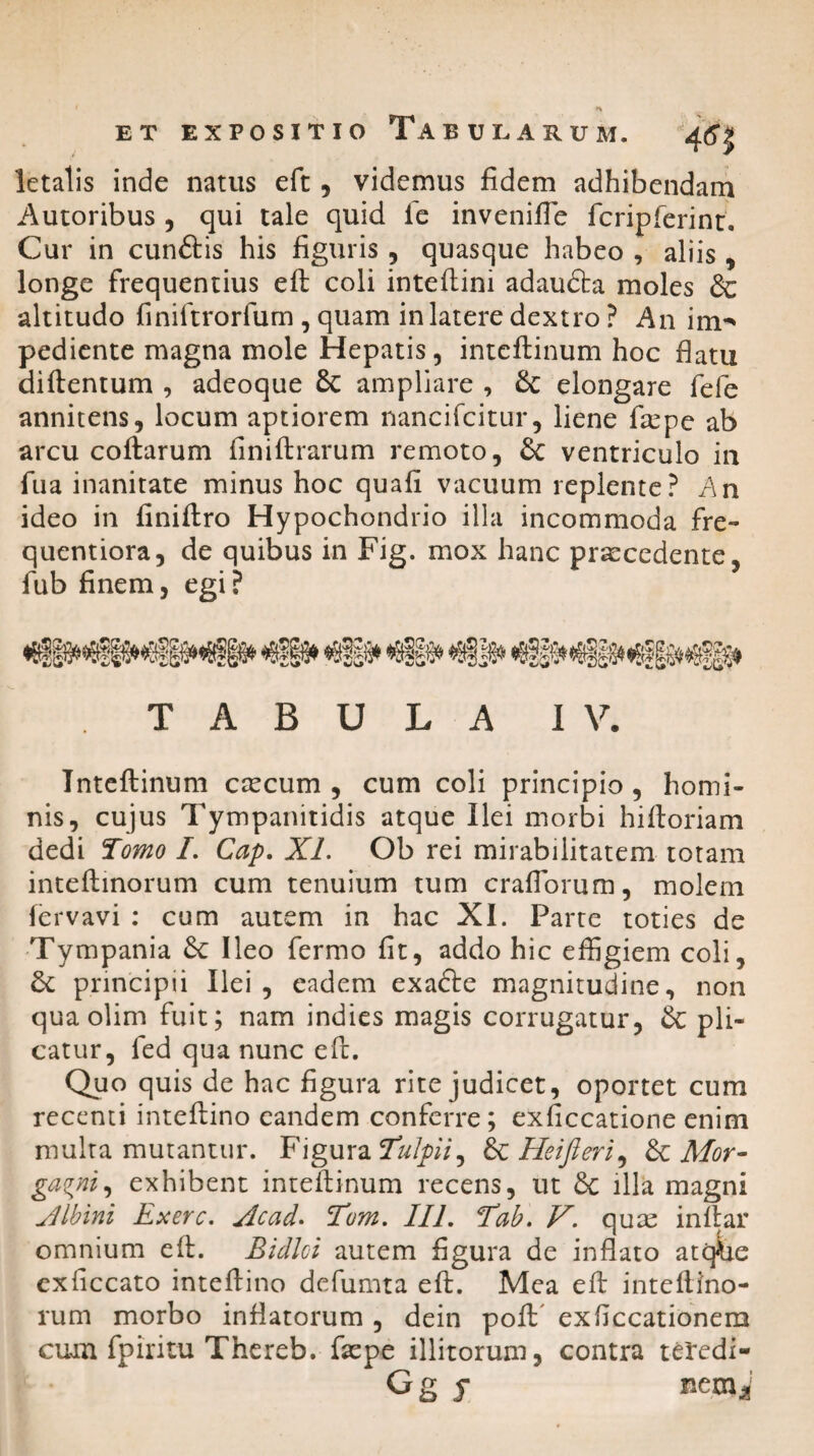 letalis inde natus eft, videmus fidem adhibendam Autoribus , qui tale quid ie invenifie fcripferint. Cur in cunftis his figuris , quasque habeo , aliis , longe frequentius eft coli inteftini adaudta moles & altitudo finiftrorfum , quam in latere dextro ? An im-* pediente magna mole Hepatis, inteftinum hoc flatu diftentum , adeoque 8c ampliare , elongare fefe annitens, locum aptiorem nancifcitur, liene ftepe ab arcu coftarum finiftrarum remoto, ventriculo in fua inanitate minus hoc quafi vacuum replente ? An ideo in finiftro Hypochondrio illa incommoda fre- quentiora, de quibus in Fig. mox hanc praecedente, fub finem, egi? TABULA IV. Inteftinum caecum , cum coli principio , homi¬ nis, cujus Tympanitidis atque Ilei morbi hiftoriam dedi Tomo /. Cap. XI. Ob rei mirabilitatem totam inteftinorum cum tenuium tum craflorum, molem fervavi : cum autem in hac XI. Parte toties de Tympania 6c Ileo fermo fit, addo hic effigiem coli, principii Ilei, eadem exafte magnitudine, non qua olim fuit; nam indies magis corrugatur, &: pli¬ catur, fed qua nunc eft. Quo quis de hac figura rite judicet, oportet cum recenti inteftino eandem conferre; exficcatione enim multa mutantur. Figura Tulpii^ ScHeifleri^ fk. Alor- gagni, exhibent inteftinum recens, ut 6c illa magni Albini Exerc. Acad. Tom. III. Tab. V. quae inftar omnium eft. Bidloi autem figura de inflato atq^ie exficcato inteftino defumta eft. Mea eft inteftino¬ rum morbo inflatorum , dein poft exflccationem cum fpiritu Thereb. faepe illitorum, contra teredi- G g $ nemi