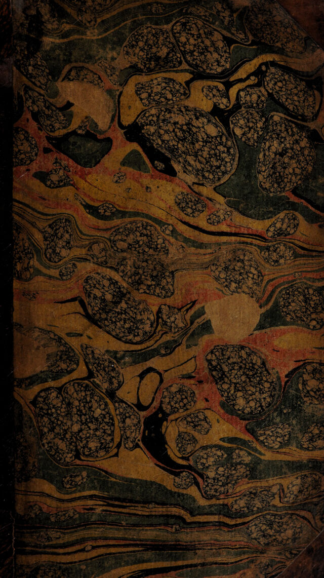 digitised image 1