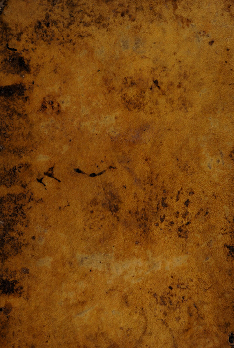 ksMt P • 5ra£ /*> -***'* *<£?£<* Mri-*gWR<' ‘. '• , .'v:-. -••■’ ■ :.V - k :k v-\ .&•.. *;^ i ...... .v > B -« ••*■ >:•••; ., ••••;’*.. 'rv'. ->^' yS? , -  . y&Za *• •■' , . ■ ■ ■ * .,. - • •• * . *‘\&* *§ ■ « Jfc •** V . ■$*,....*■’' ■jj1 * • ' i* * T- m llrm ;v * 'K-■■<■-• <?%*> jjgfig ,.- '. .■ '* S.