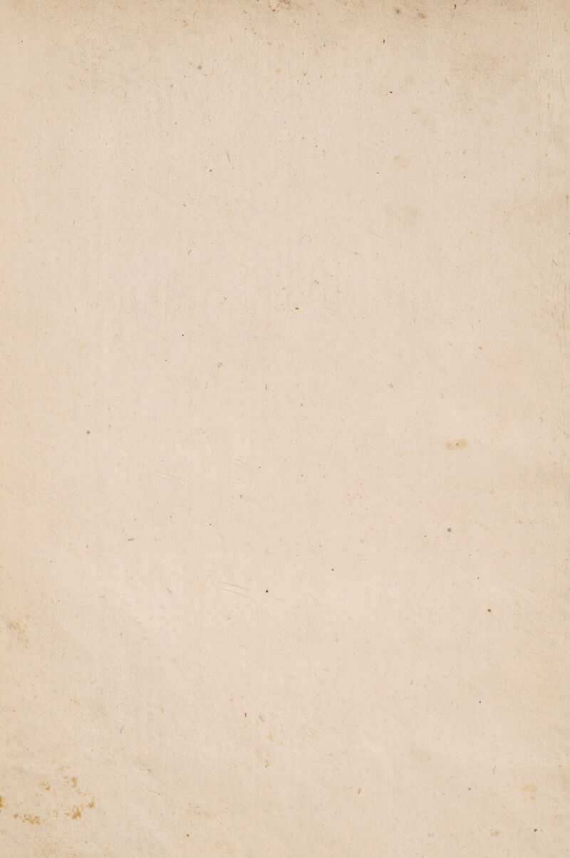 •t ; ' i ■ V ' ' *, •' ‘ / y V. \ i \ '■ * J i v*