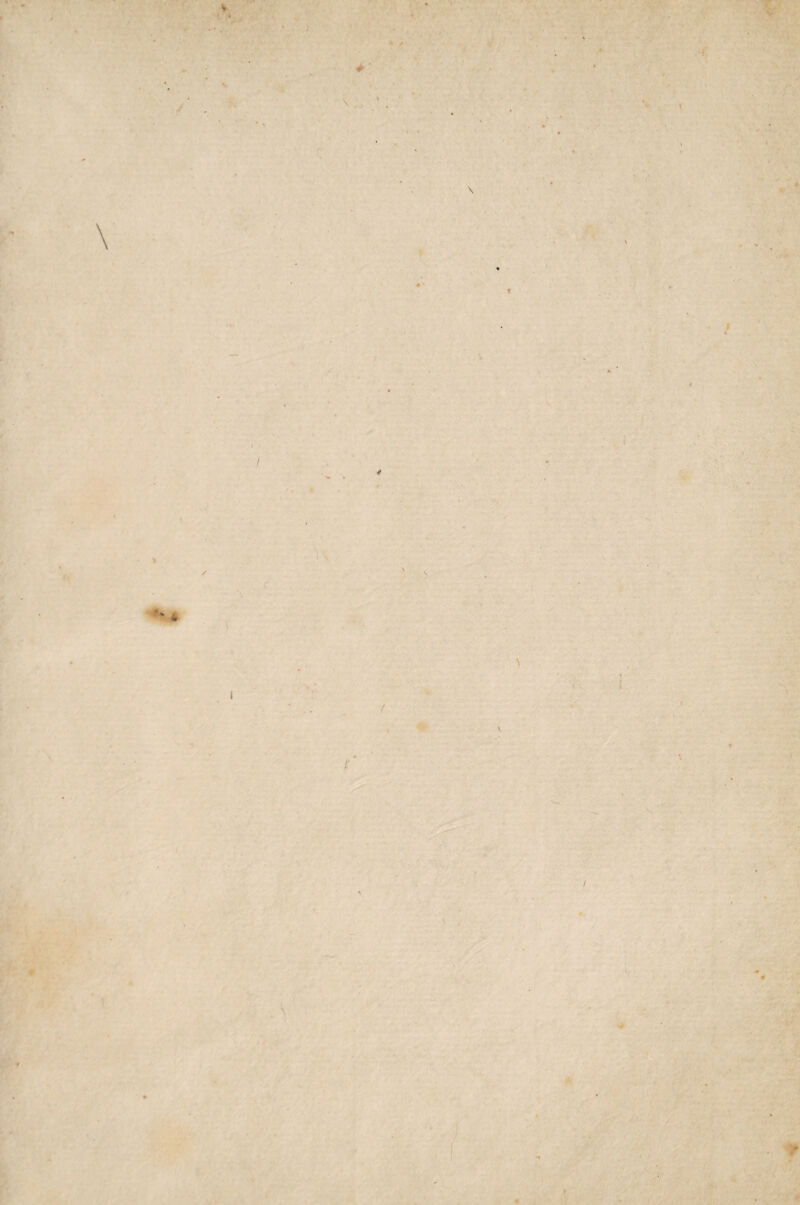 \ \ ■ i' • I / / f \ V * \t .