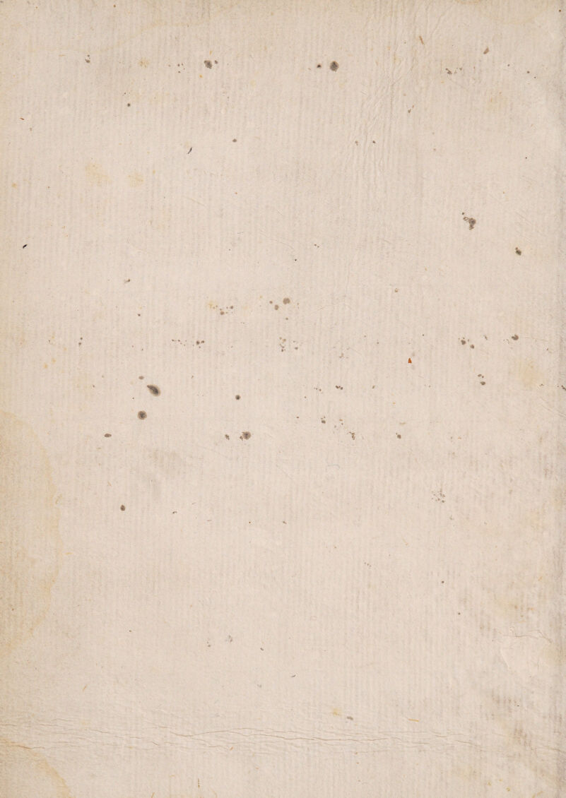 7 t * f % t * \ è » *’ v* i.-. / » * . :* / \ ì / 4 * «. :r * Wv •\ *■ *