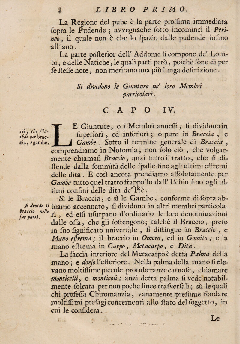 ciò , che scìn¬ te de per brac¬ cia* * gambe. fi divìde il bràccio nelle fu? parti. g LIBRO PRIMO. La Regione del pube è la parte proiTima immediata fòpra le Pudende ; avvegnaché lotto incominci il Peri¬ neo > il quale non è che lo fpazio dalle pudende infino all'ano. La parte pofterior dell5 Addome fi compone de Lom¬ bi , e delle Natiche, le quali parti però , poiché fono di per fe delle note, non meritano una più lunga definizione. Sì dividono le Giunture neJ loro Membri p articolari. CAPO IV. LE Giunture, o i Membri anneffi, fi dividonoin fuperiori , ed inferiori ; o pure in Braccia , e Gambe . Sotto il termine generale di Braccia , comprendiamo in Notomia, non folo ciò , che volgar¬ mente chiamali Braccio, anzi tutto il tratto, che fi di- ffende dalla fommità delle /palle fino agli ultimi eftremi delle dita. E così ancora prendiamo aliòlutamente per Gambe tutto quel tratto frappofto dall5 Ifchio fino agli ul¬ timi confini delle dita de5Piè. Sì le Braccia, e sì le Gambe, conforme difopra ab¬ biamo accennato, fi dividono in altri membri particola¬ ri , ed elfi ufurpano d5ordinario le loro denominazioni dalle offa, che gli fo/lengono; talché il Braccio, prefo in fuo lignificato univerfale , fi diftingue in Braccio , e Mano eftrema ; il braccio in Omero, ed in Gomito ; e la mano eftrema in Carpo, Metacarpo, e Dita. La faccia interiore del Metacarpo è detta Palma della mano ; e dorfo fefteriore. Nella palma della mano fi ele¬ vano moltiffi me piccole protuberanze carnofe, chiamate monticela, o monticoli ; anzi detta palma fi vede notabil¬ mente folcata per non poche linee trafverfàli ; sù le quali chi profèffa Chiromanzia, vanamente prefume fondare jnoltiffimi prefagj concernenti allo flato del/oggetto, in cui le confiderà.. . . , Le /