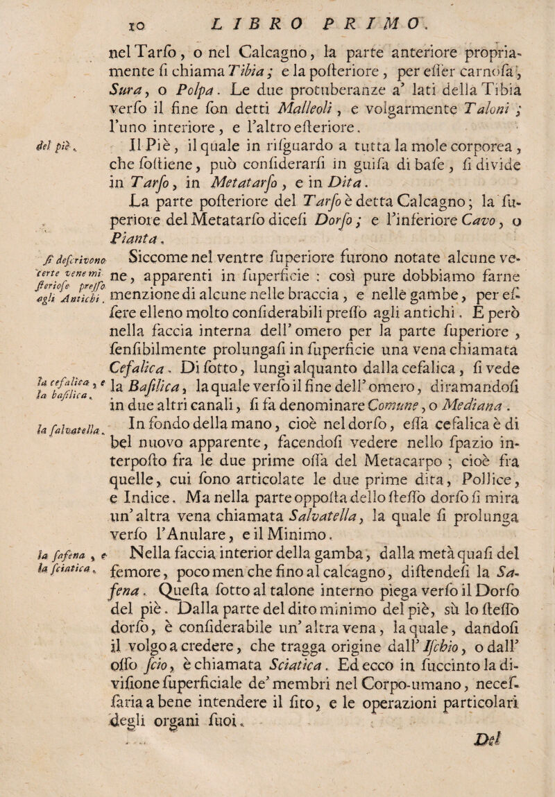 nel Tarlo, o nel Calcagno, la parte anteriore propria¬ mente fi chiama Tìbia ; e la pofieriore , per efler camola , Sur a, o Polpa. Le due protuberanze a lati della Tibia verfo il fine fon detti Malleoli, e volgarmente Taloni ; Puno interiore, e l'altro efleriore, dei pii.. Il Piè, il quale in riguardo a tutta la mole corporea , che fòfiiene, può confiderarfi. in guifa dibafe, fi divide inTarfo, in Metatarso , e in Dita. La parte pofieriore del Tarfo è detta Calcagno ; la fu- periore del Metatarfo dicefi Dorfo ; e l'infèriore Càm?, a Pianta, fi deferivano, certe vene mi fierìof? prejfo Antichi, la. cefalica-, ? JW b afille a Za faina,tella Siccome nel ventre fu periore furono notate alcune ve¬ ne, apparenti in fuperficie : così pure dobbiamo farne menzione di alcune nelle braccia , e nelle gambe, peref fere elleno molto confiderabili predò agli antichi. E però nella faccia interna del!’ omero per la parte fuperiore , fenfibilmente prolungali in fuperficie una vena chiamata Cefalica» Difetto, lungi alquanto dalla cefalica, fi vede la jBafilicai la quale verlò il fine dell5 omero , diramandoli in due altri canali, fi fa denominare Comune, o Mediana . In fondo della mano, cioè neldorfo, efià cefalica è di bel nuovo apparente, facendoli vedere nello fpazio iu¬ te r pollo fra le due prime offa del Metacarpo ; cioè fra quelle, cui fono articolate le due prime dita, Pollice, e Indice, Ma nella parteoppofiadelloftelfo dorfofi mira un'altra vena chiamata Salvatella, la quale fi prolunga verlo FAnulare, e il Minimo. la- fafena , t Nella faccia interior della gamba, dalla metà quafi del la fcfaticajfemorej pocomen che fino al calcagno, diftendefi la Sa- fena, Quella fotte al talone interno piega verfo il Dorfò del piè. Dalla parte del dito minimo del piè, sùloftefiò dorfo, è confiderabile un'altra vena, la quale, dandoli il volgo a credere, che tragga origine àaWIfcbioy odali' offe feioy èchiamata Sciatica , Ed ecco in fuccìnto la di» vifionefuperficiale de'membri nel Corpo-umano, necef- fariaabene intendere il fito, e le operazioni particolari degli organi fuou - ; ■M ' ;