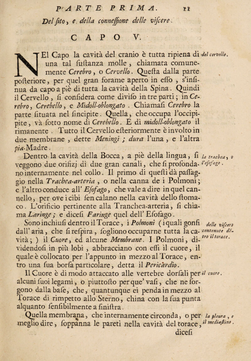 P A R T E PRIMA. tt Delfito t e, della connejjìone delle vifcere. C A P O V. NEI Capo la cavità del cranio è tutta ripiena diMturveìh. una tal fullanza molle , chiamata comune¬ mente Cerehro, o Cervello. Quella dalla parte pofìeriore, per quel gran forame aperto in elfo , s’infi- nua da capo a piè di tutta la cavità della Spina. Quindi il Cervello , lì confiderà come divilb in tre parti ; in Ce- rebro, Cerebello, e Midoll-oblongato , Chiamafi Cerehro la parte fituata nel Ancipite. Quella, che occupa l’occipi- pite, và fotto nome di Cerebello. E di midoll-oblongato il rimanente . Tutto il Cervello elleriormente è involto in due membrane , dette Meningi ; dura l’una , e l’altra pia- Madre. : . . Dentro la cavità della Bocca, a piè della lingua, fi la trachea , # veggono due orifizj di due gran canali, che fi profonda» :i'ef0faz° • no internamente nel collo. Il primo di quelli dà paffàg- gio nella Trachea-arteria , o nella canna de i Polmoni ; e Taltro conduce all’ Esofago, che vale a dire in quel can¬ nello , per ove i cibi fen calano nella cavità dello ftoma- co. Lf orificio pertinente alla Tranchea-arteria, fi chia¬ ma Laringe ; e dicefi Faringe quel dell' Efofago. Sono inchiufi dentro il Torace, i Polmoni ( i quali gonfi delle vìfcere dall’aria, che firefpira, fogliono occuparne tutta la ca- 'contenute de. vità ; ) il Cuore, ed alcune Membrane. I Polmoni , di-tr6ilt0Mce- videndofi in più lobi , abbracciano con elfi il cuore -, il quale è collocato per l’appunto in mezzo al Torace, en¬ tro una fua boria particolare, detta il Pericardio, Il Cuore è di modo attaccato alle vertebre dorlali per#/ cuore, alcuni fuoi legami, o piuttoflo per que’ vali > che nefor- gono dalla bafe, che, quantunque ei pendainmezzo al Torace di rimpetto allo Sterno, china con la fua punta alquanto fenfibilmente a finiftra, Quella membrana, che internamente circonda, o per la pleura , e meglio dire, foppanna le pareti nella cavità del torace,il mediafiind • dicefi