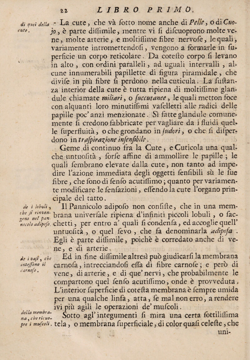 di quei •cute. Mia * La cute, che và fotto nome anche ài Pelle, odi Cuo- jo y è parte diffimile, mentre vi fi difcuoprono molte ve» ne, molte arterie, e moltiffime fibre nervofe, le quali, variamente intromettendoli, vengono a formarle in fu- perficie un corpo reticolare. Da cotefto corpo fi levano in alto , con ordini paralleli, ad uguali intervalli , al¬ cune innumerabili papillette di figura piramidale > che divife in più fibre fi perdono nella euticula. La fuftan- za interior della cute è tutta ripiena di moltiffime glan- du!e chiamate miliari, o juccmanee, le quali mettonfòce con alquanti loro minutiffimi vafelletti alle radici delle papille poc'anzi menzionate. Sì fatteglandule comune¬ mente fi credono fabbricate per vagliare da i fluidi quel¬ le fuperfluità, oche grondano in indori, o che fi difper- dono in t raspirazione infenftbìle » Geme di continuo fra la Cute , e Cuticola una qual¬ che untuofità , forfè affine di ammollire le papille ; le quali fembrano elevate dalla cute, non tanto ad impe¬ dire fazione immediata degli oggetti fonfibili sù le lue fibre, che fono di fenfo acutiffimo ; quanto per variamen¬ te modificare le fenfazioni, effondo la cute f organo prin¬ cipale del tatto, de ì lobuliIl Pannicolo adipofò non confile, che in una mem- thono neiVpan brana univerfale ripiena d’infiniti piccoli lobuli , o fac- lmcolo adìpofo, chetti, per entro a' quali fi condenfa, ed accoglie quell' untuofità , o; quel fevo , che fa denominarla adipofa , Egli è parte diffimile, poiché è corredato anche di ve¬ ne, e di arterie. de de Ed in fine diffimile altresì può giudicarli la membrana carnofa, intrecciandoli effa di fibre carnofe ; e però di vene, di arterie, e di que'nervi, che probabilmente le compartono quel fenfo acutiffimo, onde è provveduta. I/interior fuperficie di cotefta membrana è fempre umida per una qualche linfa, atta, fo mal non erro, a rendere ivi più agili le operazioni de5 mufcoli. na*Ibl?huJ- Sotto agf integumenti fi mira una certa fottiliffima pre ì mufcoli. tela, o membrana fuperficiale, di color quali celefte, che uni- cntejfono il carnofo »
