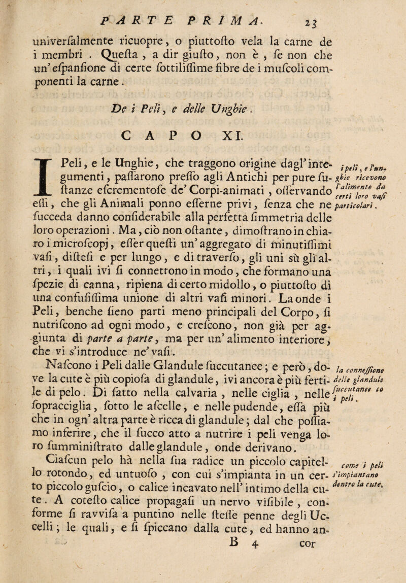univerfalmente ricuopre, o piuttofto vela la carne de i membri . Quella , a dir giudo, non è , le non che un'efpanfione di certe lòttililfime fibre de i mulcoli com¬ ponenti la carne. De ì Peli, e delle Unghie. CAPO XI IPeli, e le Unghie, che traggono origine dagl'in te- iptti t , gumenti, palliarono predo agli Antichi per pure fu- gl le ricevono danze efcrementofe de’ Corpi-animati , oflèrvando rca^,Ti”!ó elfi, che gli Animali ponno elferne privi, fenza che ne particolari, fucceda danno confiderabile alla perfetta fimmetria delle loro operazioni. Ma, ciò non oftante, dimoftrano in chia¬ ro i'microfcopj, eflèrquelli un'aggregato di minutiffimi vali, diltefi e per lungo, e di traverfo, gli uni su gli al¬ tri , i quali ivi fi connettono in modo, che formano una fpezie di canna, ripiena di certo midollo, o piuttofto di una confufilfima unione di altri vali minori» Laonde i Peli, benché fieno parti meno principali del Corpo, fi nutrifcono ad ogni modo, e crescono, non già per ag¬ giunta di parte a parte, ma per un'alimento interiore, che vi s’introduce ne' vali. Nafcono i Peli dalle Gianduia fiiccutanee ; e però, do- ja co„nej;c„e ve la cute è piùcopiola diglandule, ivi ancora è più ferri- delle glandule le di pelo. Di fatto nella calvaria , nelle ciglia , nielle-f^” co fopracciglia, lotto le afcelle, e nelle pudende, effa più che in ogn’ altra parte è ricca di glandule ; dal che pollia¬ mo inferire, che il fucco atto a nutrire i peli venga lo¬ ro fumrainiftraro dalle glandule, onde derivano. Ciafcun pelo hà nella fua radice un piccolo capitei- comc ; ptn lo rotondo, ed untuolò , con cui s’impianta in un cer- s'impiantano to piccolo gufcio, o calice incavato nell’ intimo della cu- den,re u cute‘ te. A coteflo calice propagafi un nervo vilibile , con¬ forme fi ravvifa a puntino nelle delie penne degli Uc¬ celli ; le quali, e fi fpiccano dalla cute, ed hanno an- B 4 cor .V.