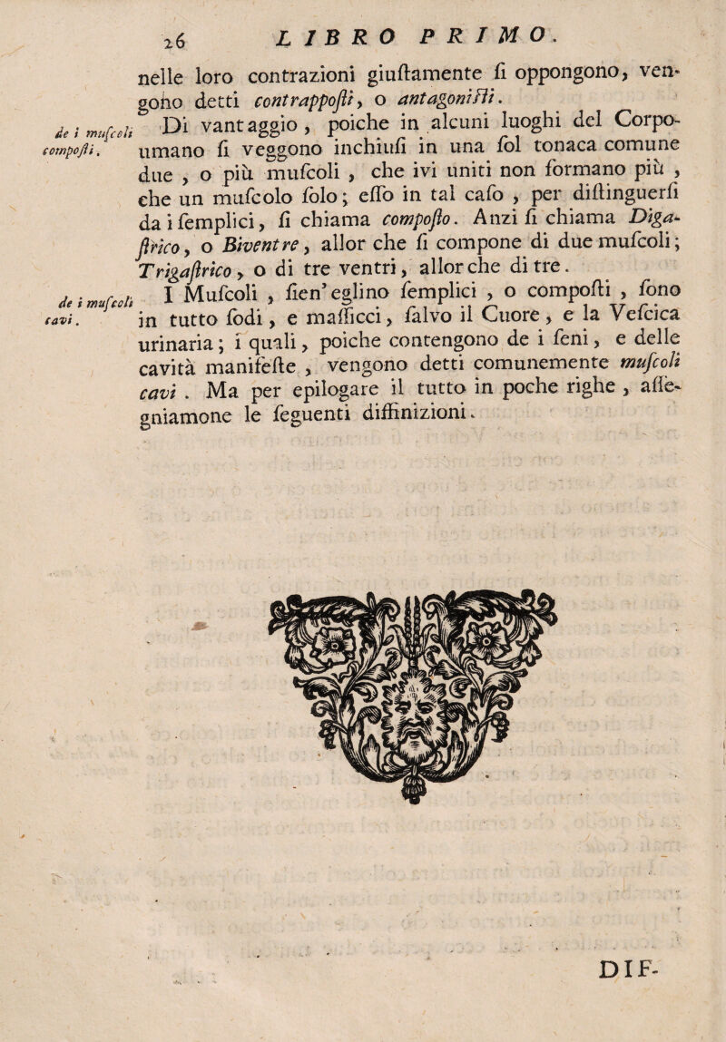( de i mufedii eompojVi. de s mufccli savi. nelle loro contrazioni grullamente fi oppongono, ven- goho detti contrappojìi, o ant agoni Hi. Di vantaggio, poiché in alcuni luoghi del Corpo¬ umano fi veggono inchini! in una Ibi tonaca comune due , o più mulcoli , che ivi uniti non formano piu , che un mufcolo folo ; eflo in tal calo , per dillinguerfi daifemplici, fi chiama compoflo. Anzi fi chiama Diga- lìrico, o Biventre, allor che fi compone di due mulcoli; T riga lìrico > o di tre ventri, allorché di tre. I Mulcoli , fien’eglino femplici , o compolli , fono in tutto fodi, e mafficci, l'alvo il Cuore , e la Vefcica urinaria ; i quali, poiché contengono de i fieni, e delle cavità manifelle , vengono detti comunemente mujcoli cavi . Ma per epilogare il tutto in poche righe , alli¬ gniamone le leguenti diffinizioni.