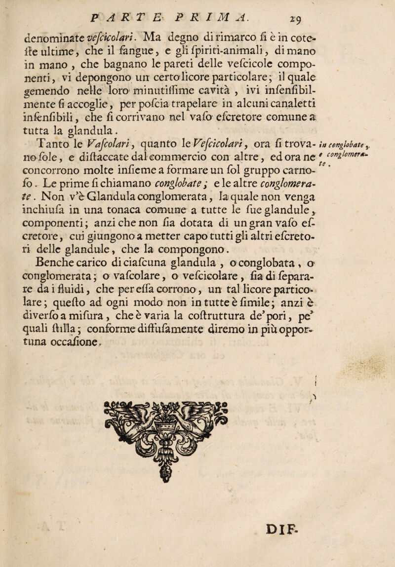 X F A K TE- FRI M A. denominate vejckolart. Ma degno di rimarco fi è in cote- ite ultime, che il fangue, e glifpiriti-animali, di mano in mano , che bagnano le pareti delle vefcicole compo¬ nenti, vi depongono un certo licore particolare; il quale gemendo nelle loro minutiffime cavità , ivi infènfibil- mente fi accoglie, per pofcia trapelare in alcuni canaletti infenfibiii, che fi corrivano nel vafo efcretore comune % tutta la gianduia. Tanto le Vascolari, quanto le Vefcìcolarì, ora fi trova- in conglobate 3, no fòle, e diftaccate dal commercio con altre, ed ora ne * con&lom(!r** concorrono molte infieme a formare un fol gruppo carne- fo. Le prime fi chiamano conglobate ; e le altre conglomera¬ te. Non v’è Gianduia conglomerata, la quale non venga inchiufa in una tonaca comune a tutte le fue glandule, componenti ; anzi che non fia dotata di un gran vafo ef¬ cretore , cui giungono a metter capo tutti gli altri efereto- ri delle glandule, che la compongono » Benché carico diciafcuna gianduia , o conglobata, cr conglomerata ; o vafcolare, o vefcicolare, fia di fepara- re dai fluidi, che per effa corrono, un tal licore partico¬ lare; quello ad ogni modo non in tutte è limile; anzi è diverfo a mifura, che è varia la coftruttura de'pori, peJ quali filila; conforme difìufamente diremo in più oppor¬ tuna occafione. -, • >/■' : • i J ' • I * it