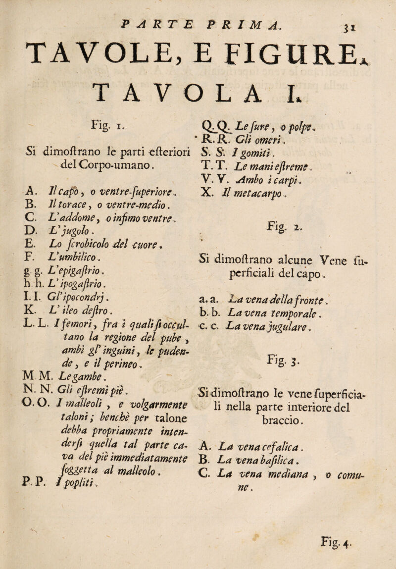 PARTE FRI M A. TAVOLE, E FIGURE* TAVOLA L - Fig. i. Si dimoftrano le parti efteriori del Corpo-umano. A. Il capo y o ventre-fuperiore» B. Il torace, o ventre-medio. C. L'addome> o infimo ventre.. D. id jugolo. E. Lo fcrobicolo del cuore « F. Vumbtlico.. g. g. Vepìgafirìo. h. h. L'ipogajìrio . 1.1. Gl'ipocondri. K. L ileo dejlro. L. L. Ifemori, jTm i quali fi occul¬ tano la regione del pube , <g/’ inguini/<r puden¬ de , e il perineo, M M. Le gambe. N. N. G/i efiremì piè, O. 0. I malleoli , ? volgarmente taloni ; benché per talone propriamente inten¬ der fi quella tal parte ca¬ va del pìè immediatamente [oggetta al malleolo . P P. / popliti, Q^Q^ Le fare, o polpe* °R.R. Gli omeri, S. S*. / gomiti. T. T. Le maniefireme. V» V, A.mbo ì carpi. X. // metacarpo. Fig. 2. V. Si dimoi! rano alcune Vene fu* perficiali del capo . a. a. £*? ^«4 della fronte. b. b. £<* temporale. c. c. £4 vena iugulare. Fig. 3. Si dimodrano le vene fuperficia* li nella parte interiore del braccio. A. £4 w»4 cefalica. B. £4 baftlica. C. £4 mediana > 0 ^0^- ne » Fig- 4-