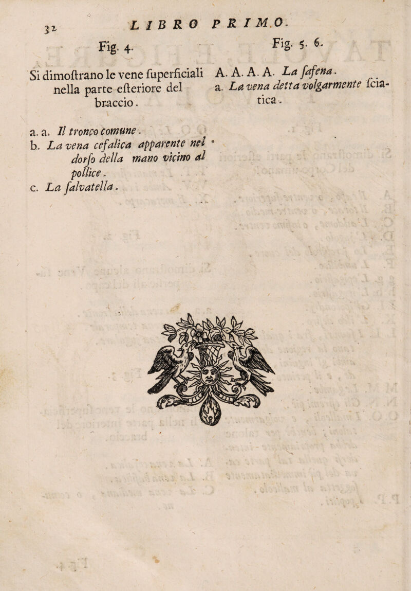 ìl LIBRO P R I M.O. Fig. 4. Fig- 5- 6' », L ' «, * . -y ' . ‘Ì . • Si dimoftrano le vene fuperficiali A. A. A. A. La fafena. nella parte citeriore del a. La vena detta volgarmente rcia- braccio. tica- v , ' ' a. a. Il tronco comune. h. «?/*&** apparente nel • dorfo della mano vicino al pollice.. c. La falvatella, * *. •/ * ,