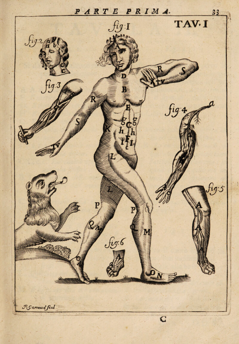 TAV I •s »» $ VJ n. amoudjcul C