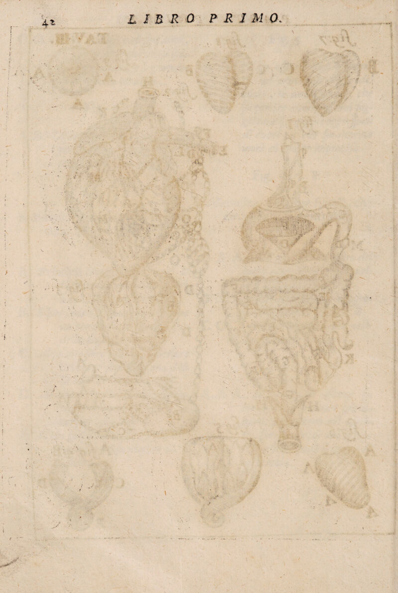 / tv 1 R R 0 p R I M- 0 ; • 'v. r,- jV--: ' H * Sé •Sfcjt ■ ■'V. ' . js- ' >«:,* i . • ,iv,' , V j|S . e ■v. ‘ • . - ' > • . Hi •• ; >1 • ~.* •'4 V • A ■■ ■ v •• :*■ • • r;-5 r ,ìa» V , ... . ■ ' ■ 1 i ■ *(J< ■ y ■■ ! r' ■*: - , : .  r '■. A . f Wh*~ V\v -V. ; ' * i. l s\ \ 'a , v, ' r. .. ■ ■ v -- ■ > ■ ■:, 'A, • vf •; _ • . % - * H 4 v -t': £ >, • N • A f . •- ’ v , ' ’ <r- • T , -4> .V J N & * :. , > - • J*