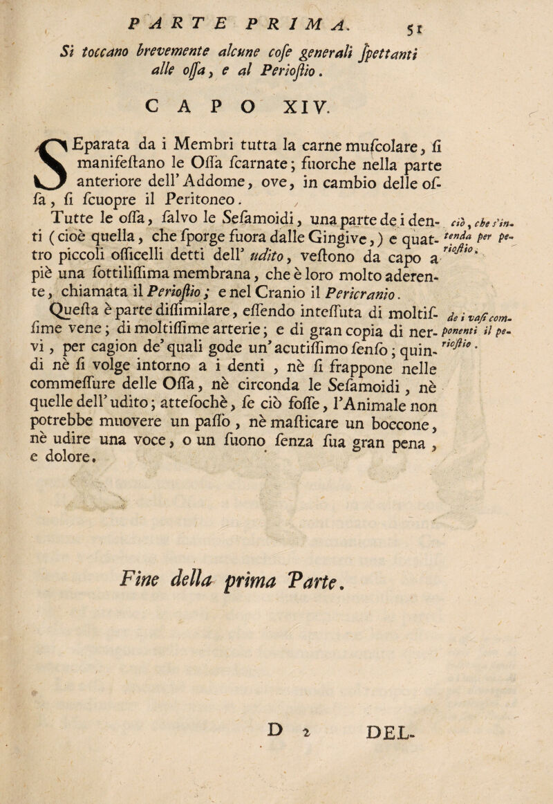 PARTE PRIMA Si Sì toccano brevemente alcune cofe generali frettanti alle offa, e al Perioflìo. C A P O XIV. S Eparata da i Membri tutta la carne muscolare, fi manifeftano le Offa fcarnate ; fuorché nella parte anteriore dell’Addome, ove, in cambio delle of¬ fa. , fi fcuopre il Peritoneo. , Tutte le offa , fàlvo le Se/àmoidi, una parte de i den¬ ti ( cioè quella, che fporge fuora dalle Gingive, ) e quat¬ tro piccoli officelli detti dell’ udito, veftono da capo a piè una fottiliffima membrana, che è loro molto aderen¬ te, chiamatali Perioflìo; e nel Cranio il Pericranìo. Quella è parte diffimilare, effendo inteffuta di moltif- fime vene ; di moltiffime arterie ; e di gran copia di ner¬ vi , per cagion de’quali gode un’acutiffimo fenfo ; quin¬ di nè fi volge intorno a i denti , nè fi frappone nelle commeffure delle Offa, nè circonda le Sefamoidi, nè quelle dell’ udito ; attefochè, fe ciò foffe, l’Animale non potrebbe muovere un palio , nè mafticare un boccone, nè udire una voce, o un fuono fenza fua gran pena , e dolore. Fitte della prima Varie. eia, che Un* tenda per rtqfiio. de i va/i com* ponenti il pe» ricftio . D 2 DEL-