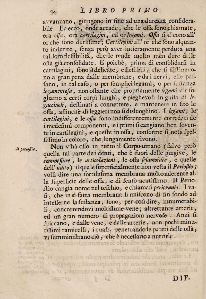 ii ptr.iefiie * avvanzano, giungono in fine ad una durezza confidera- bile . Edecco, onde accade, che le ofiàfonochiamate, ora offa, ora cartilagini, ed or legami. Offa fi dicono all’ orche fono duriflime; Cartilagini ali' or che fono alquan¬ to indurite , fenza però aver intieramente perduta una tal loro fìeflibilità, che le rende molto men dure d ile ofìà giàconfòlidate. E poiché, prima di confòlidarfi in cartilagini, fono sì delicate, efleffiMli, che 11 diftinguo- no a gran pena dalle membrane, e da i nervi, die pali fano, in tal cafò, o per fémplici legami, o per fuftanza legamento]a, nonoftante che propriamente legami dir fo¬ gliamo a certi corpi lunghi, e pieghevoli in guifà di le- gacciuoli, deftinati a connettere, e mantenere in fito le offa, affinchè di leggieri non fi disluoghino, I legami, le cartilagini, e le offa fono indifferentemente corredati de imedefimi compónenti, e i primi fi cangiano ben fbven- te in cartilagini, e quefte in offa , conforme fi nota fpef- fiffimo in coloro, che lungamente vivono. Non v’hà oliò in tutto il Corpo-umano (falvo però quella tal parte de i denti , che è fuori delle gingive, le corameffure , le articolazioni , le offa fefamoidee , e quelle dell’ udito ) il quale fuperficialmente non verta il Periofìio ; volli dire una fottiliffima membrana moltoaderente al¬ la fuperficie delle offa, e di fènfo acutiflìmo. Il Perio- ilio cangia nome nel tefehio, e chiamafi pericranio. I va¬ li , che in sì-fatta membrana fi unifeono di fin fondo ad intefferne la fuftanza, fono, per così dire, innumcrabi- li, concorrendovi moltifììme vene ; altrettante arterie, ed un gran numero di propagazioni nervofe . Anzi fi /piccano, e dalle vene, e dallearterie, non pochi minu- tiffimi ramicelli, i quali, penetrando le pareti delle offa, vi fumminiftrano ciò, che è necelfario a nutrirle . » 4-