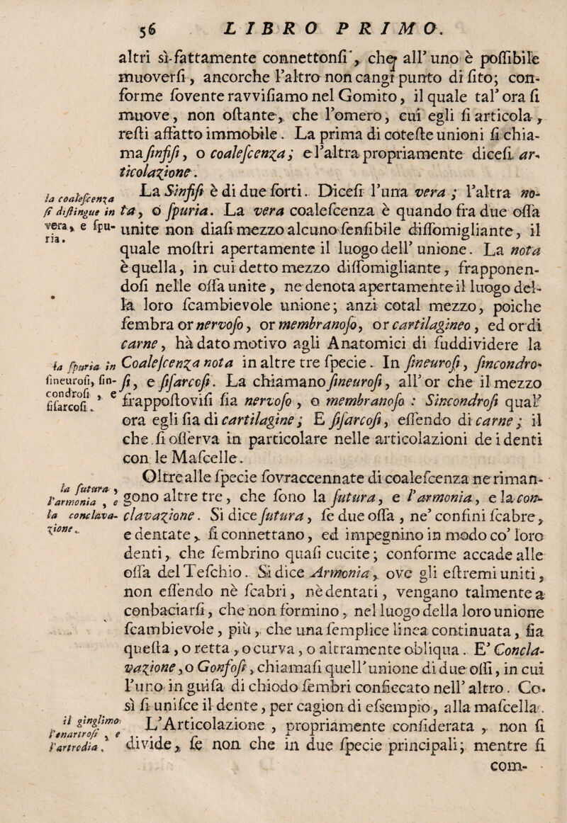 altri sì-fattamente connettonfi’, chej alFuno è poffibile muoverli, ancorché Faltro non cangi punto difito; con¬ forme fovente ravvifiamo nel Gomito, il quale taf ora fi muove, non oftante* che Fornero, cui egli fi articola , refti affatto immobile. La prima di cotefte unioni fi chia- mafin fife , o coalefcenza ; cFaltra propriamente dicefi, ar* t tcolastone \ la coahfcenxa La Sin fi fi è di due forti. Dicefi Funa vera ; Fakra no- {? dijìingue in ta> o fpuria. La vera coalefcenza è quando fra due offa rjf1* 6 *FU~ un^te non diafi mezzo alcuno fenfibile diffomigliante, il quale moftri apertamente il luogodelF unione. La nota è quella, in cui detto mezzo diffomigliante? frapponen¬ doli nelle offa unite, ne denota apertamente il luogo del¬ ia. loro fcambievole unione; anzi cotal mezzo, poiché fembra or nervoso, or membranofo, or cartilagineo, ed ordì carne, hà dato motivo agli Anatomici di fuddividere la 4a fpetria, ;n Contenenza nota in altre tre fpecie. In fmeuroft, fin condro* fmeurofi, fin- fi c fi far co fi. La chiamano fmeuroft, alF or che il mezzo J -/n Tv» r r J ì J r ir irappoftovifi fia nertojo , o membranofo : Sincondrofi quaF ora egli fia òf\ cartilagine ; E» fifarcofi, effendo &i carne; il che.fi ofièr va in particolare nelle articolazioni dei denti con le Mafcelle. ' Oltre alle fpecie fovraccennate di coalefcenza neriman- ^r;:goao altre tre, che fono la futura, e l’armonia, e 1& con¬ fo concima- clavazlone. Si dice futura, fo due offa , ne’ confini fcabre y '*Qne'- e dentate fi connettano, ed impegnino in modo co5 loro denti, che fembrino quafi cucite; conforme accade alle offa delTefchio. Si dice Armoniay ove gli eftremi uniti , non effondo nè fcabri, nè dentati, vengano talmente a conbaciarfi, che non formino, nel luogo della loro unione foambievole, piùche una femplice linea continuata, fia quella, o retta, o curva, o altramente obliqua. E Concia- vagone, o Gonfofi, chiamafi quelFunione di due olii, in cui Funoin gaffa di chiodo fembri conficcato nell5 altro. Co¬ sì fi unifce il dente, per cagion di efsempio, alla mafcella . a gtnghmo; L^Articolazione , nropriamente confiderata , non fi l'artrcdìa. divide* le non che m due lpecie principali; mentre fi com- • con d roti fifarcofi».