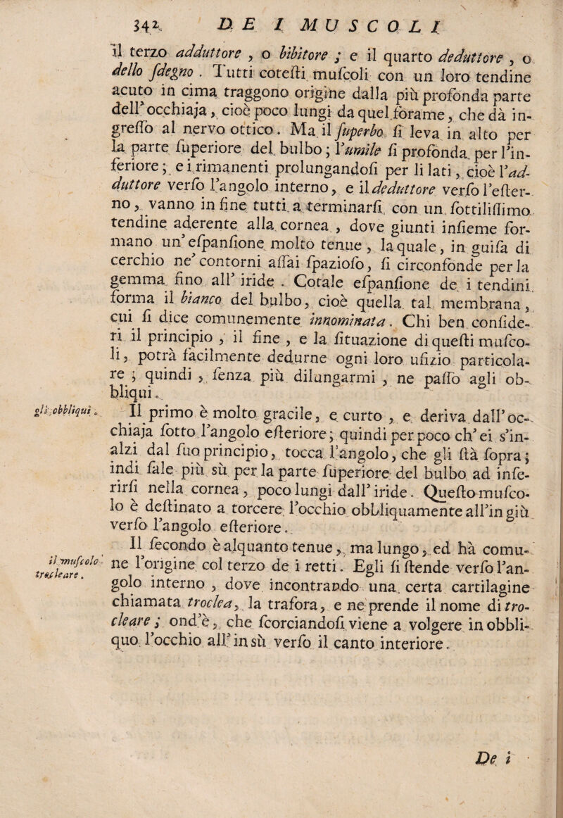 gìi' cbbliqut c ilynufcolc tracie ars. J4A ^ C7 5 C 0 £ / il terzo adduttore , o bibìtore / e il quarto deduiiore , o dello fdegno . 1 utti cotefli mufcoli con un loro tendine cima traggono origine dalla più profonda parte deir occhiaia, cioè poco lungi da quel.fòrame , che dà in¬ golfo al nervo ottico. Ma il fuperbo fi leva in alto per la parte fuperiore dei bulbo ; fumile fi profonda, per fin- feriore ; e i rimanenti prolungandoli per li lati . cioè Y ad¬ duttore verfo fangolo interno, e ildeduttore verfoleder-. no> vanno infine tutti,a.,terminarti; con umfottiliflimo. tendine aderente alla cornea , dove giunti infieme for¬ manoun efpanfionemolto tenue, la quale, in guifa di cerchio ne contorni affai fpaziofo, fi circonfònde perla gemma, fino all iride . Cotale efpanfione de i tendini, forma il bianco del bulbo, cioè quella tal membrana, ^ ò-ice comunemente Innominata. Chi ben. confide— rì il principio , il fine , e la fituazione di quelli mufico- li, potrà fàcilmente dedurne ogni loro ufizio particola¬ re ^ quindi , lènza più dilungarmi , ne paffo agli ob-, bliquie foli primo è molto gracile, e. curto , e deriva dall’oc¬ chiaia lòtto 1 angolo efleriore ; quindi per poco eh5 ei s’in¬ alzi dal fuoprincipio, tocca 1 angolo, che gli ftà fopra ; indi fiale piu su perla parte fuperiore del bulbo ad infie¬ rii fi nella cornea, poco lungi dall5 iride. Quello mufeo- lo e deflinato a torcere Ifocchio obbliquamentealfiin giù verfo l’angolo efleriore... 11^ fecondo e alquanto tenuema lungo, ed hà comu¬ ne 1 origine col terzo de i retti. Egli fi ftende verfo ran¬ gole interno, dove incontrando una, certa cartilagine chiamata trockay la trafora, e ne prende il nome di tro- cleare ; ond e, che fcorciandofi viene a volgere inobbli- quo rocchio all5insù verfo il canto interiore. De t