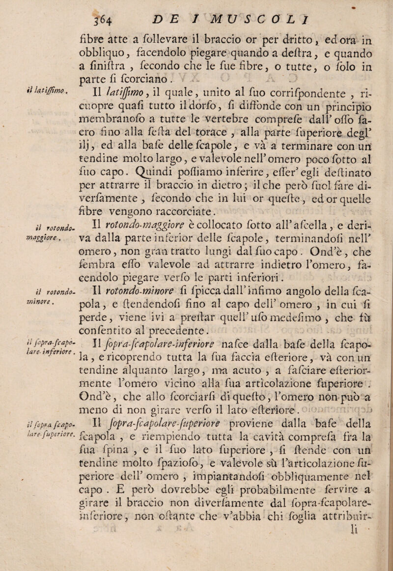 il lati/fimo . il rotondo- maggioro. ;• il rotondo- minore. il fopra-fcapo- lare- inferiore. il [opra [capo- lare-fuperiore. 364 £> £ /MUSCOLI fibre atte a follevare il braccio or per dritto, ed ora in obbliquo, facendolo piegare quando a delira, e quando a finiftra > fecondo che le fue fibre, o tutte, o fòlo in parte fi fcorciano . / 1 Il latìjjimo, il quale, unito al fuo corrifpondente , ri- cuopre quali tutto ildorfo, fi diffonde con un principio membranofo a tutte le vertebre comprefe dalfioffo fa- ero fino alla feda del torace , alla parte fuperiore degl* ilj, ed alla baie delle fcapole, e và a terminare con uri tendine molto largo, e valevole nell5omero poco fiotto al fuo capo. Quindi polliamo inferire, efleriegli dedinato per attrarre il braccio in dietro; il che però foci fare di- verfàmente > fecondo che in lui or quelle, ed or quelle fibre vengono raccorciate. Il rotonda-maggiore è collocato fiotto alfiaficella, e deri¬ va dalla parte infèrior delle fcapole, terminandoli nell5 omero, non gran tratto lungi dal fuo capo. Ond’è, che fèmbra elfo valevole ad attrarre indietro fiomero , fa¬ cendolo piegare verfo le parti inferiori. Il rotondo-mìnore fi fipicca dall5infimo angolo della fca- po!a, e {tendendoli fino al capo deli5 omero , in cui li perde, viene ivi a predar quelfiufo medefimo , che fù confentito al precedente. Il fopra-fcapolare-wferìore nafce dalla bafe della fcapo- la, e ricoprendo tutta la fua faccia ederiore, và con un tendine alquanto largo, ma acuto , a fafciare efrerior- mente fiomero vicino alla fua articolazione fuperiore . Ond5è, che allo fcorciarfi diquedo , fiomero non può a meno di non girare verfo il lato ederiore . Il Jopra-fcapolan-fuperiore proviene dalla bafe della feapola , e riempiendo tutta la cavità comprefa fra la fua Ipina , e il fuo lato fuperiore , fi dende con un tendine molto fpaziofc, e valevole su fiarticolazionefu- periore dell5 omero , impiantandofi obbliquamente nel capo . E però dovrebbe egli probabilmente fervóre a girare il braccio non diverfàmente dal fopradcapolare- ìnferiore, non Gitante che v’abbia chi foglia attribuir-