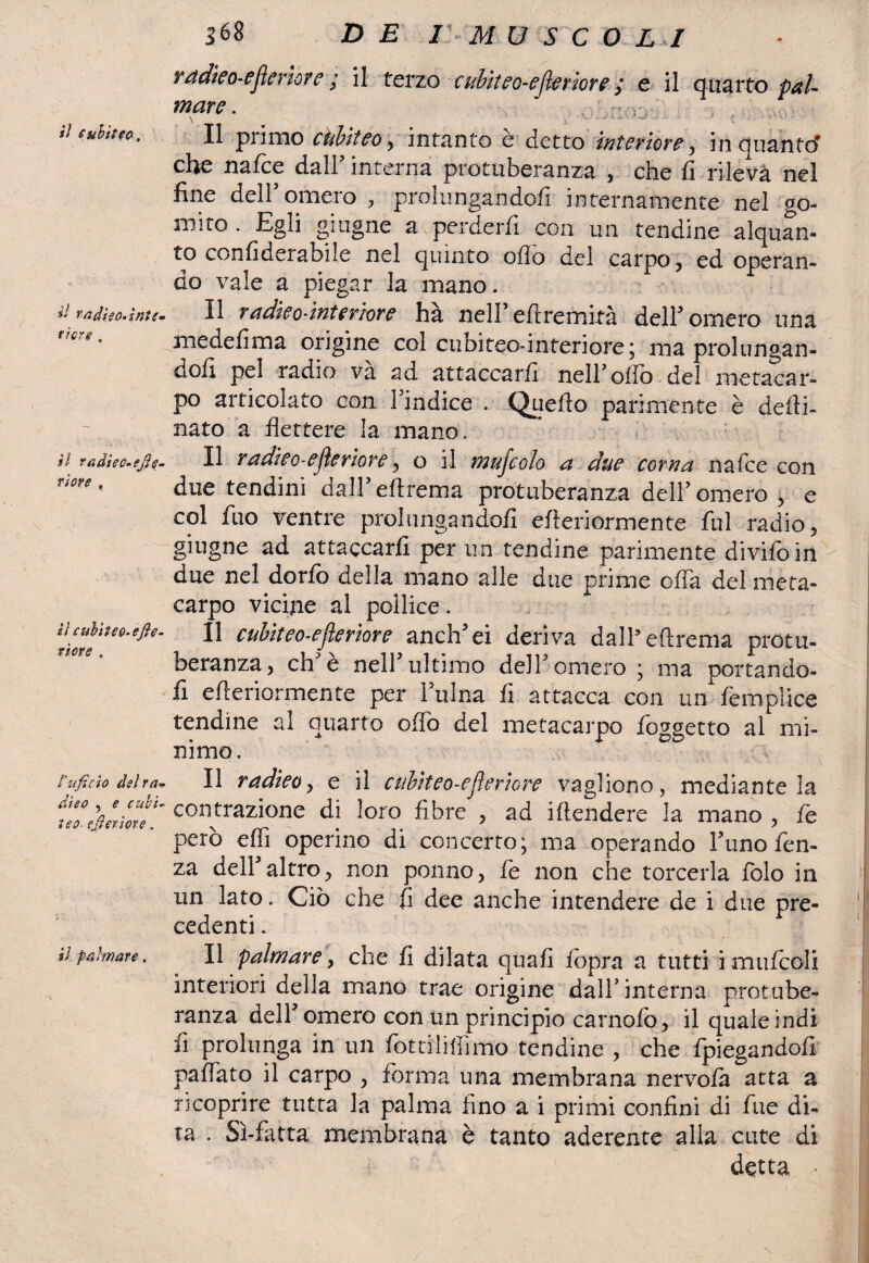 il tuhitee. il radieo-intc- rìcre , il raàìeo-ejìe- vìere , „ il cubitee.efte- riere . ) ì'ufìcìo del ra- dieo , e cubi* tee- efteriore. il palmare . I 368 D E I M U S C O L I rddieo-efierkre / il terzo cubiteo-ejìeriore ,* e il quarto mare • . ^-obci-o-. Il pi imo cubiteo , intanto e detto interiore, inouantcf che nalce dall5 interna protuberanza , che fi rileva nel fine dell5omero , prolungandoli internamente nel go¬ mito . Egli gitigne a perderli con un tendine alquan¬ to confiderabile nel quinto olio del carpo, ed operan¬ do vale a piegar la mano. Il radieo-ìnteriore ha nell eltremirà dell5 omero una medefima origine col cubiteo-interiore; ma prolungan¬ doli pel radio va ad attaccarli nell5 olio del metacar¬ po articolato con Findice . Quello parimente è delti- nato a flettere la mano. Il radteo-efleriore, o il mujcolo a due corna nafee con due tendini dalFellrema protuberanza dell5 omero , e col fuo ventre prolungandofi efteriormente fui radio, ghigne ad attaccarli per un tendine parimente diviloin v due nel dorfo della mano alle due prime offa del meta¬ carpo vicine al pollice. Il cubiteo-eflerìore anch'ei deriva dalFellrema protu¬ beranza, eh e nell ultimo dell5 omero * ma portando¬ ti efteriormente per 1 ulna fi attacca con un femplice tendine al quarto offo del metacarpo fossetto al mi¬ nimo. Il radieo, e il cubiteo-eflerìore vagliene, mediante la contrazione di loro fibre , ad iltendere la mano , fe però elfi operino di concerto; ma operando Funo fen- za dell5altro, non ponno, le non che torcerla folo in un lato. Ciò che fi dee anche intendere de i due pre¬ cedenti . Il palmare, che fi dilata quali lòpra a tutti i mufcóli interiori della mano trae origine dall5interna protube¬ ranza dell5 omero con un principio carnolò, il quale indi fi prolunga in un fottilifiimo tendine , che fpiegandofi pailato il carpo , forma una membrana nervo fa atta a ricoprire tutta la palma fino a i primi confini di fue di¬ ta . Sì-fatta membrana è tanto aderente alla cute di detta • Il