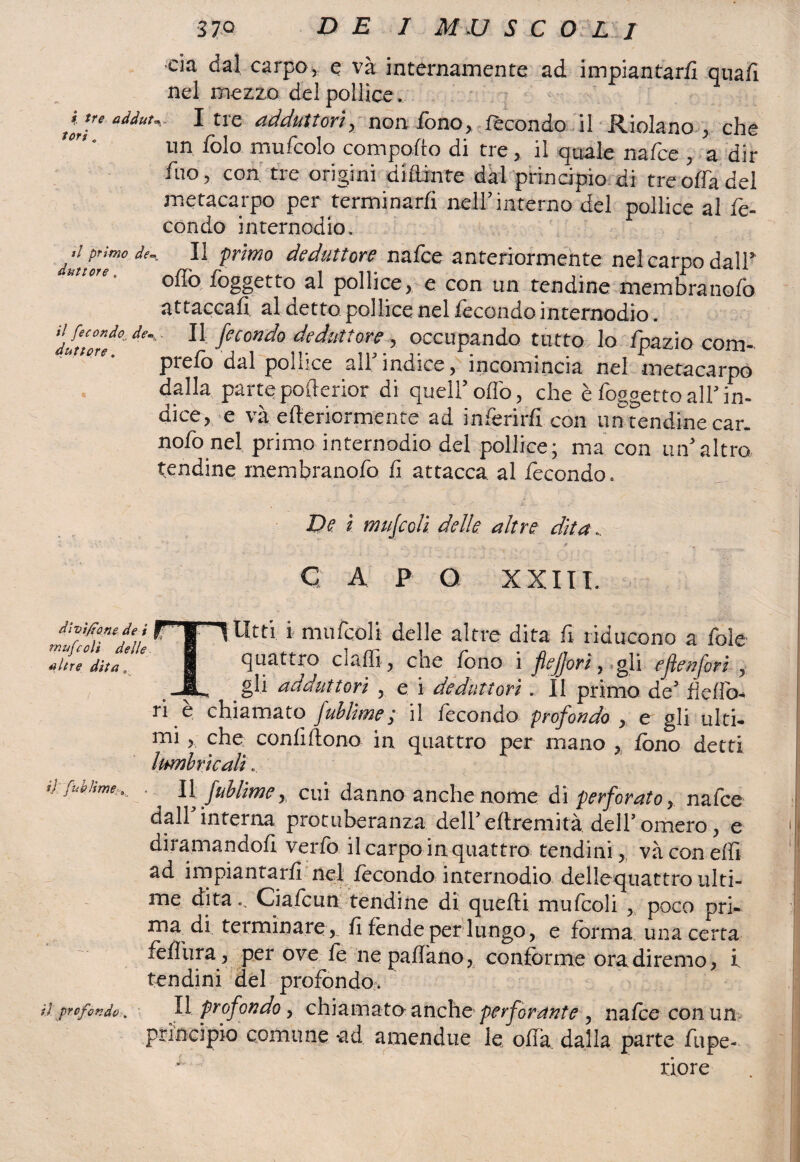 •eia dal carpo, e va internamente ad. impiantarli quali nel mezzo del pollice. itu I tre adduttori, non fono, fecondo il Ridano , che un lolo mu Itolo compollo di tre, il quale nafte , a dir fuo, con tre origini diUinfe dal principio di tre offa del metacarpo per terminarli nell’interno del pollice al fe¬ condo internodio. ^ primo, dé^ Il primo dedattore nafee anteriormente nel carpo dall’ olio, lòggetto al pollice,-e con un tendine membranolb attaccali al netto pollice nel fecondo internodio. Il fecondo dedattore, occupando tutto lo fpazio com- prelò dal pollice aii indice, incomincia nel metacarpo dalla parte poiìerior di quell’ odo, che è foggetto all’in¬ dice, e va citeriormente ad inferirli con un tendine car. nolo nel primo internodio del pollice; ma con un’altro tendine mem brando li attacca al fecondo. De ì muscoli delle altre dita.. C A P O XXIII. divi/ione de i mufcoli delle *ltre dita , il [uhlime il profondo: Luti i mufcoli delle altre dita fi riducono a fole quattro ciaffi , che fono i flejjori y gli efenfori , _ gli adduttori , e i dednttori. Il primo de fletto* ri è chiamato fublime; il fecondo profondo , e gli ulti* mi 5 che confiftono in quattro per mano , fono detti lumbricah .. 11 fublime, cui danno anche nome di perforato y nafee dall interna protuberanza dell’eflremità dell’omero, e diramandoli verfo il carpo in quattro tendini, và con effi ad impiantarli nei fecondo internodio dellequattro ulti¬ me dita.. Ci afe un tendine di quelli mufcoli , poco pri¬ ma di terminare , fi fende per lungo, e forma una certa fefliira, per ove fé ne pattano, conforme ora diremo, i tendini del profondo:» Il profondo, chiamato anche perforante , nafee con un principio comune -ad amendue le offa dalla parte fupe- riore