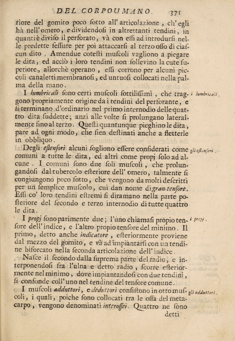 \ riore del gomito poco fotte all’articolazione , ch’egli^ hà nell’omero, e dividendoli in altrettanti tendini , in quanti è divifò il perforato, và con elfi ad introdurli nel¬ le predette feffure per poi attaccarli al terzo olfo di ciaf- cun dito . Amendue cotelli mufcoli vagliono a piegare le dita, ed acciò i loro tendini non follevino lacutefu- periore, allorché operano , edi corrono per alcuni pic¬ coli canaletti membranoli, ed untuofi collocati nella pal¬ ma della mano, I iumbricali fono certi mufcoli lòttiliffimi , che trag- i Iumbricali gono propriamente origine da i tendini del perforante, e li terminano d’ordinario nel primo internodio delle quat¬ tro dita fuddette ; anzi alle volte fi prolungano laterah mente fino al terzo. Quelli quantunque pieghi no le dita, pare ad ogni modo, che fien deftinati anche a fletterle in obbliquo. V Degli eflenfori alcuni lògliono effere confiderati come gUéftcnfort comuni a tutte le dita, ed altri come propj Jblo ad al¬ cune . I comuni fono due foli mufcoli , che prolun¬ gandoli dal tubercolo citeriore dell’omero, talmente-fi congiungono poco fotta, che vengono da moltideferitti per un lemplice mufcolo, cui dan nome dìgran-tenfore. Efli co’ loro tendini ellremi fi diramano nella parte po- 11 eri ore del fecondo e terzo internodio di tutte quattro le dita. I propj fono parimente due ; Fimo chiamali propio ten- * Prctì • fore dell’indice, e l’altro propio tenforedel minimo . Il primo, detto anche indicatore , efleriormente proviene dal mezzo del gomito, e và ad impiantarli con un tendi¬ ne biforcato nella feconda articolazione dell’indice. JSlafce il fecondo dalla fuprema parte del radio, e in¬ tei ponendoli Ira 1 ulna e detto radio , icorre efterior» mente nei minimo, dove impiantandoli con due tendini, fi confonde coll uno nel tendine del tenlbrecomune. I mufcoli adduttori, ededuttorì confittone in ottoniuf-adduttori t coli, i quali, poiché fono collocati tra le offa del meta¬ carpo, vengono denominati mteroffei. Quattro ne fono detti