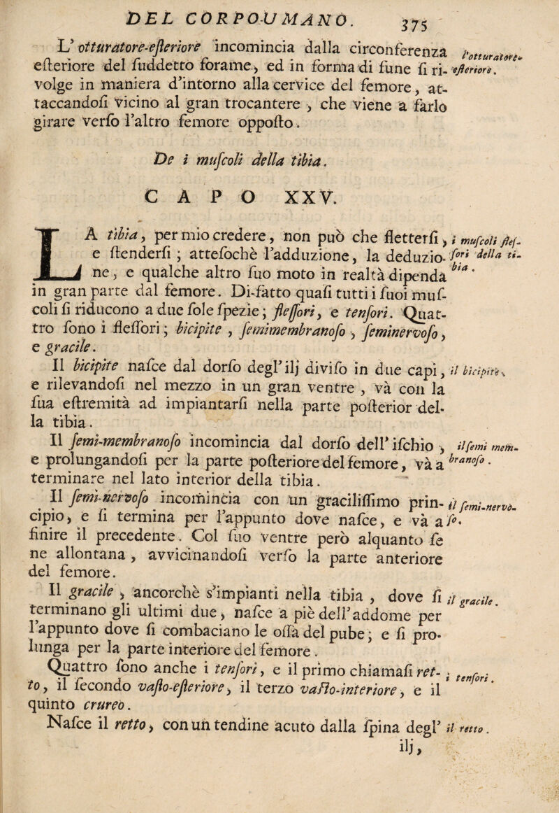 37 5 L’ otturatore-eferiore incomincia dalla circonferenza totturatoti efteriore del fuddetto forarne > ed in forma di fune il riw' volge in maniera d’intorno alla cervice del femore, at¬ taccandoli vicino al gran trocantere > che viene a farlo girare verfo l’altro femore oppofto . De i mufcoli della tibia. CAPO XXV. LA tìbia, per mio credere, non può che fletterfi > ; muffii fa. e (tenderli; attefochè l’adduzione, la deduzio- dtlla *«'- ne, e qualche altro fuo moto in realtà dipenda b'“' in gran parte dal femore. Di-fàtto quali tutti i fuoi muf- colili riducono a due fole fpezie ; fleffori, e tenfori. Quat¬ tro fono i fi e Ilo ri • bicipite , femimembranofo , feminervofo, e gracile. II bicipite nafce dal dorfo degl’ilj divifo in due capì,a ìiàpitH e rilevandofi nel mezzo in un gran ventre , và con la fua eftremità ad impiantarfi nella parte polterior del¬ la tibia. Il Jerni-membranofo incomincia dal dorfo dell’ ifchio , tifimi mom. e prolungandoli per la parte pofteriore del femore, và a bramli • terminare nel lato interior della tibia. II feminervofo incomincia con un graciliffimo prin-,/ pemi.mtvò. cipio, e li termina per l’appunto dove nalce, e va ufi- finire il precedente. Col fuo ventre però alquanto fe ne allontana , avvicinandoli verfo la parte anteriore del fèmore. Il gracile , ancorché s’impianti nella tibia , dove fi u oratilo. terminano gli ultimi due, nalce a piè dell’addome per l’appunto dove fi combaciano le offa del pube ; e fi pro¬ lunga per la parte interiore del fèmore . Quattro fono anche i tenjori, e il primo chiamali ret- ■ te„rori to j il fècondo vaflo-eferiore, il terzo vafìo-interiore, e il quinto eritreo. Nafce il retto, con un tendine acuto dalla Ipina degl’ n rotto. ili » '