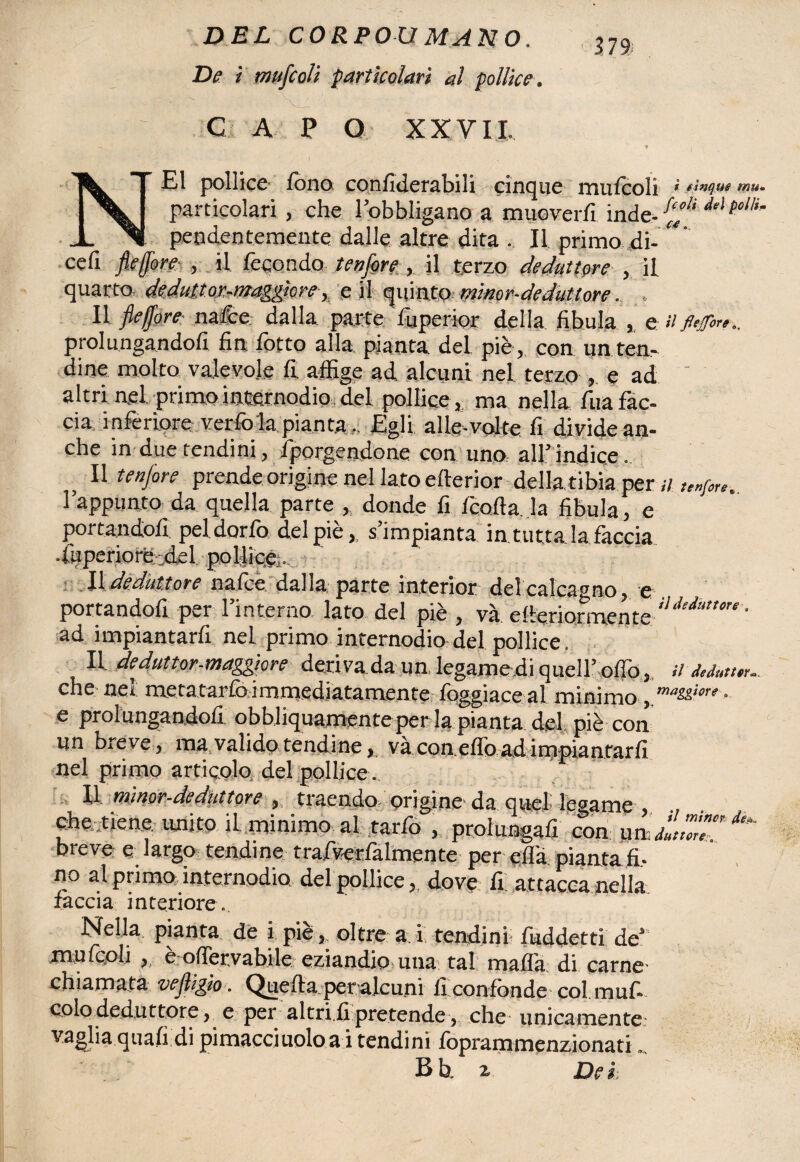 De i mufcoli particolari al pollice . CAPO XXVII. * i E1 pollice fono confiderabili cinque mufcoli ì cinque rnu. particolari , che l’obbligano a muoverli inde- f‘f deì /W/ pendentemente dalle altre dita . Il primo di- cefi flefore• , il fecondo tensore,. il terzo deduttore , il quarto deduit.or-maggiore,, e il quinto mìnor-deduttore. . » Il fleffore nafte dalla parte iuperior della fibula , e a fttfore,. prolungandoli fin fiotto alla pianta del piè , con un ten¬ dine molto valevole fi affige ad alcuni nel terzo , e ad altri nel. primo kternodio del pollice, ma nella fiua fac¬ cia inferiore verfo la pianta.. Egli alle-volte fi divide an¬ che in due tendini, fporgendone con uno. all’indice.. Il tenfore prende origine nel lato efterior della tibia per u l’appunto da quella parte , donde fi ficofta. la fibula, e portandoli pel dorfo del piè,, s’impianta in. tuttala faccia •fiuperioré del pollice,. Il deduttore nalce dalia parte interior del calcagno, c portandofi per l’interno lato del piè , và ederiormente '7'^'^ ' ad impiantarli nel primo internodio del pollice. Il deduttor-maggiore derivada un. legamedi quell’ olfo, n che nel metatarfaimmediatamente foggiaceli minimo e prolungandoli, obbliquamente per la pianta del piè con un breve, ma,valido tendine, và conelioadimpiantarli nel primo articolo del pollice. II. mìnor-deduttore , traendo origine da quel legame che.,tiene, unito il minimo al tarfio , prolungali con uaw' ^ breve e largo tendine trafverfalmente per eflà pianta fi, no al prima internodia del pollice h dove fi attacca nella faccia interiore.. Nella, pianta, de i pie, oltre a i tendina fuddetti de* mufcoli e ofiervabile eziandio una tal mafia: di carne* chiamata vejlìgio. Quella, peralcuni li confonde col. muf colo deduttore y e per altriii pretende , che unicamente vaglia quali di pimacciuoloa i tendini foprammenzionati Bb z Del