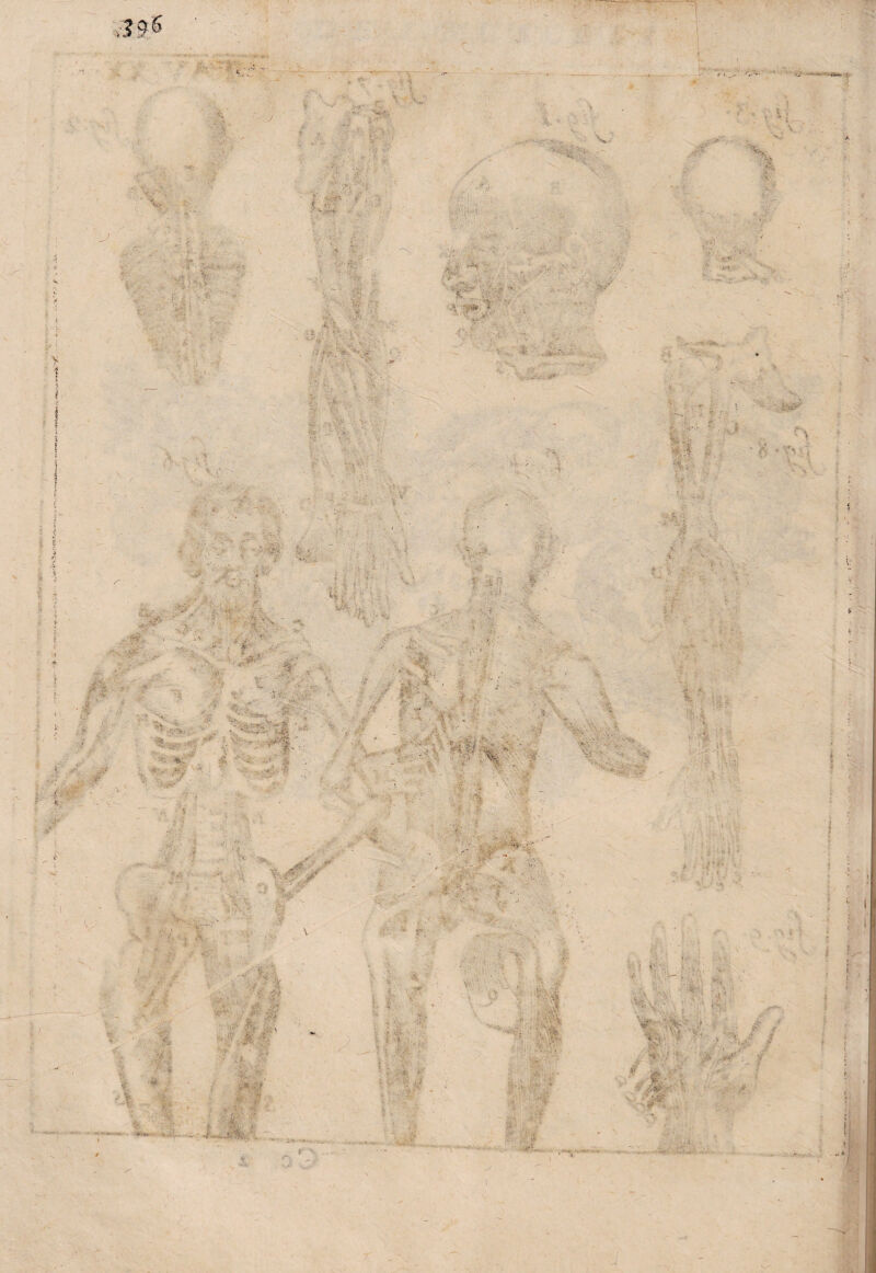 ' .... - ì- . , ?V.. ; mmmA*. - &K-. ■s • -v*- ' A'. '0: ‘V % .r SK A V *•, >V_.. ■ f'- $ :>. ■ ; I J 4 . ?: X ; : . K ' ^ . • f i c.:vt| 4k • fiW • ■ y~ ,• . .. ,4> * ’• > V ' •> • ,4, -4 ; . . , - . • * . • 4 - \ 'a. yVC.i-’b:- • ■ : - ■ : ’ - ■ . ' >. ov > - . Jt : i h •'! i ■=., •• - ! • .:x . ;c. ì .. , .tu. . , .. . \ b- V h -• •.. ■ ■ . ;{■ ■ ■ .... . ■f ■■: U . ' ‘ '# 4 -l/:, ■ ;/•:?* * f ,, I • A . ' -, / O -x/ , . - % * Vi'* I' X ‘ ; 4; ■ ' ^■v . • 4; iV' 4; .. •. M c \ *'v ■ K t '/ ■ 5 , 1 « r /: t ' • v ■„>>*; +!.  y* ‘d. k' v. .f. Vft ■ * 'Av5-i 7 ì'^s'; W’ *:!WJ ■> • - v> . «•4-; • ' i • • »•♦ ■ .t‘r Xm-r >. . “V • ! i .i'fr •-