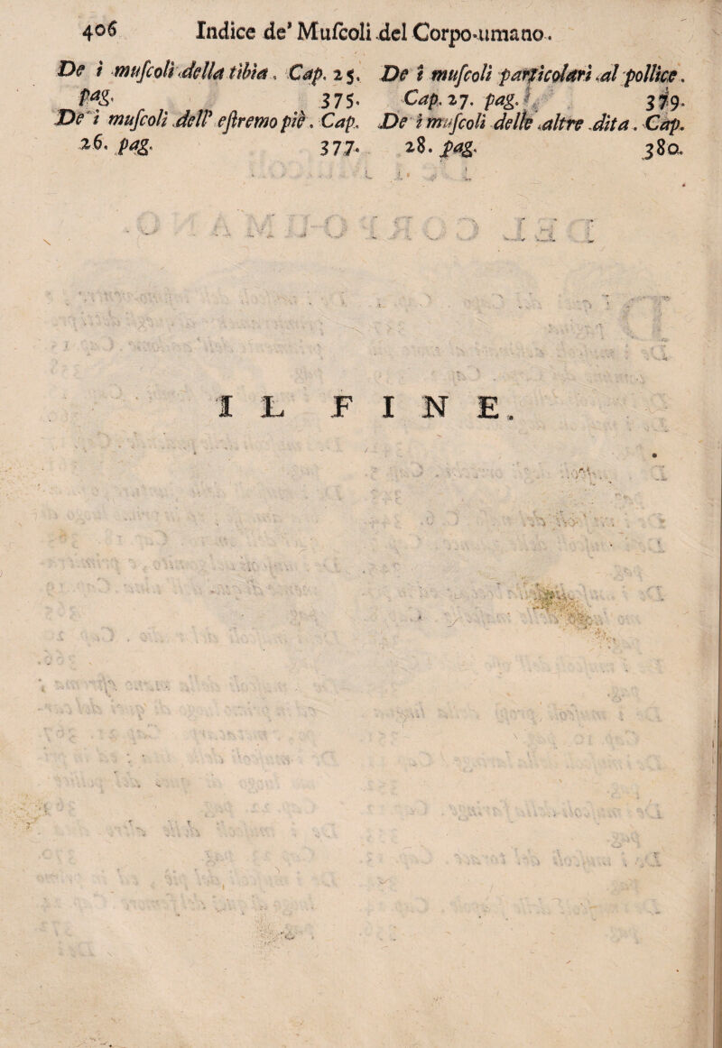 4©§ e ì muftì P<*$' e ì mufco z6. pag. Indice de’ Mufcolidel Corpo-umano. 375- Cap.zj, pag.ft 379- Cap. De ì miifcoli delle Mitre dita. 3 77- 28. i8a L * * •V1 ' 'ÌW-* \ II. FINE» ■> ' ■,r.< ; x V'. - > /* '• ■ S. ■ i\ • :•« T • V * • Ì. ; V ■ L> - *■ *V r TV^ , • SU' • j. ’m * 1 •si;;.'.. US • • i : . ^ « . : O v/ tvt i
