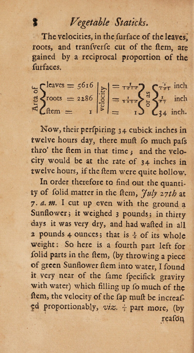 The velocities, in the furface of the leaves, roots, and tranfverfe cut of the ftem, are gained by a reciprocal proportion of the furfaees. U-t o <u S-* *5 leaves = 5616 roots = 2186 item = 1 ttt inch ry inch 34 inch. Now, their perfpiring 3 4 cubick inches in twelve hours day, there muft fo much pals thro’ the ftem in that time 3 and the velo¬ city would be at the rate of 34 inches in twelve hours, if the ftem were quite hollow. In order therefore to find out the quanti¬ ty of folid matter in the ftem, July 27th at 7. a. m. I cut up even with the ground a Sunflower; it weighed 3 pounds; in thirty days it was very dry, and had vyafted in all % pounds 4 ounces; that is 4 of its whole weight: So here is a fourth part left for folid parts in the ftem, (by throwing a piece of green Sunflower ftem into water, I found it very near of the fame fpecifick gravity with water) which filling up fo much of the ftem, the velocity of the fap muft be increaf- fd proportionabiy, viz,,, f part more, (by