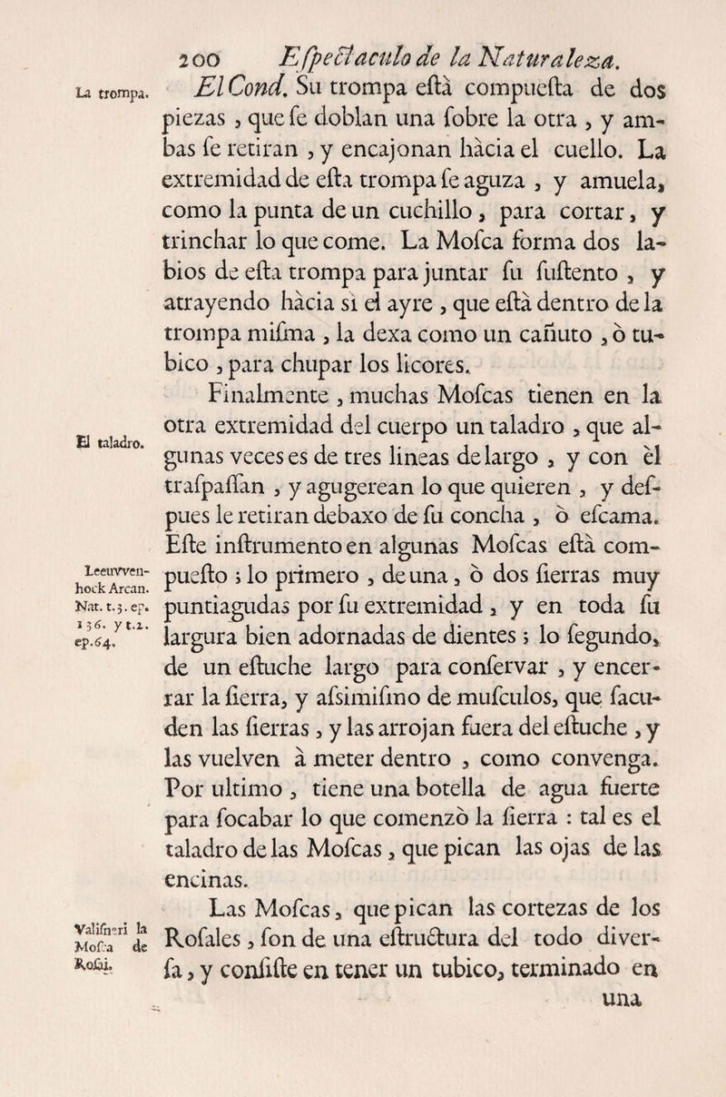 La trompa. El taladro. Leeuwen¬ hoek Arcan. Nat. t. 3. ep. 136. y t.i. ep.64. VaHíh.ri la Mofea de &amp;,q£ú. 200 Efpecíaculo de la Naturaleza. El Cond, Su trompa eftá compuefta de dos piezas 3 que fe doblan una fobre la otra , y am¬ bas fe retiran 5 y encajonan hacia el cuello. La extremidad de efta trompa fe aguza 3 y amuela, como la punta de un cuchillo , para cortar, y trinchar lo que come. La Mofea forma dos la¬ bios de ella trompa para juntar fu fuftento a y atrayendo hacia si d ayre , que ella dentro de la trompa mifma , la dexa como un cañuto 3 ó tu- bico 3 para chupar los licores. Finalmente 3 muchas Mofeas tienen en la otra extremidad del cuerpo un taladro > que al¬ gunas veces es de tres lineas de largo , y con el trafpaífan , y agugerean lo que quieren , y def- pues le retiran debaxo de fu concha , ó efeama. Efte inftrumento en algunas Mofeas eftá com- puefto ; lo primero 5 de una a 6 dos fierras muy puntiagudas por fu extremidad 1 y en toda fu largura bien adornadas de dientes; lo fegundo* de un eítuche largo para confervar 5 y encer¬ rar la fierra, y afsimifmo de mufeulos, que facu- den las fierras, y las arrojan fuera del eítuche , y las vuelven á meter dentro , como convenga. Por ultimo 3 tiene una botella de agua fuerte para focabar lo que comenzó la fierra : tal es el taladro délas Mofeas, que pican las ojas de las encinas. Las Mofeas, que pican las cortezas de los Rofales, fon de una eftru&amp;ura del todo di ver¬ ía 3 y confiíte en tener un cubico, terminado en una