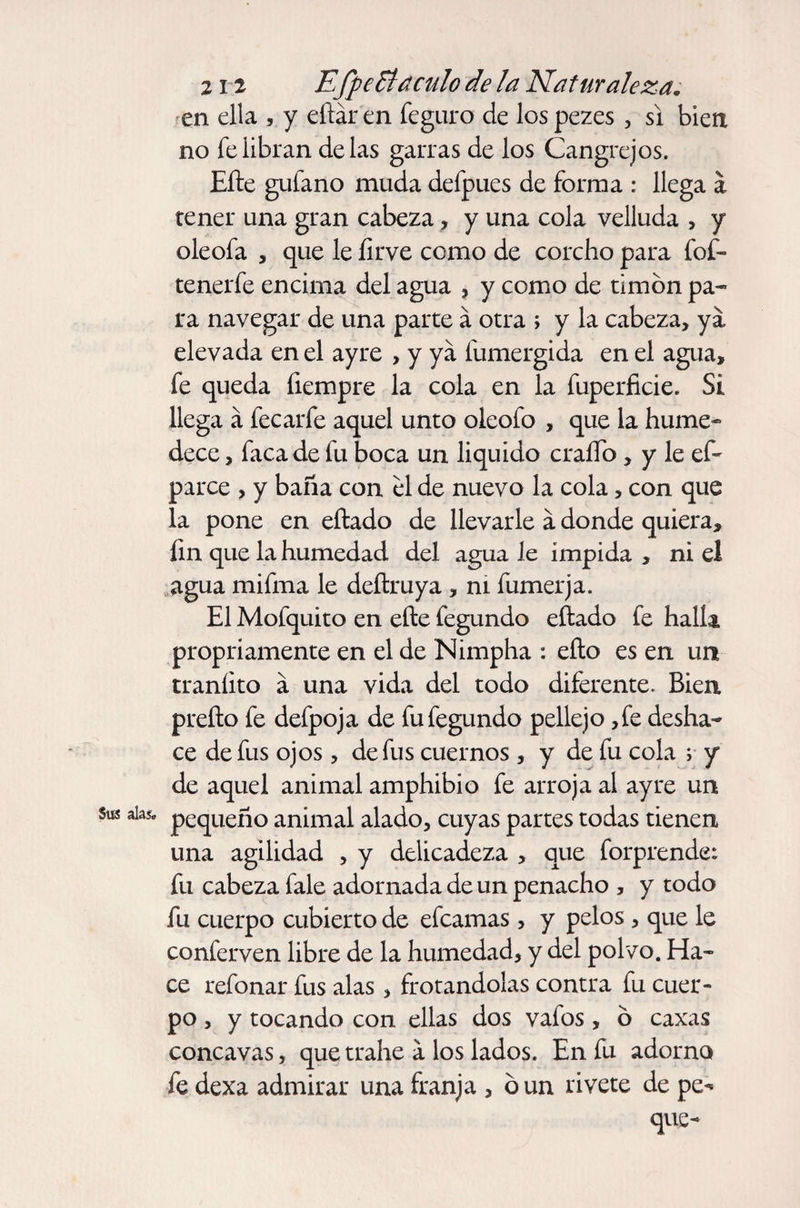 en ella , y eftáren feguro de lospezes , si bien no fe libran délas garras de los Cangrejos. Elle gufano muda deípues de forma : llega á tener una gran cabeza, y una cola velluda , y oleofa , que le íirve como de corcho para fof- tenerfe encima del agua , y como de timón pa¬ ra navegar de una parte á otra > y la cabeza, ya elevada en el ayre , y ya fumergida en el agua, fe queda fiempre la cola en la fuperficie. Si llega á fee arfe aquel unto oleofo , que la hume¬ dece , faca de fu boca un liquido craífo, y le ef- parce , y baña con el de nuevo la cola, con que la pone en eftado de llevarle á donde quiera, fin que la humedad del agua le impida , ni el agua mifma le deítruya , ni fumerja. El Mofquito en efte fegundo eílado fe halla propiciamente en el de Nimpha : ello es en un traníito á una vida del todo diferente. Bien preño fe defpoja de fu fegundo pellejo ,fe desha¬ ce de fus ojos , de fus cuernos , y de fu cola ; y de aquel animal amphibio fe arroja al ayre un sus alas, pequeño animal alado, cuyas partes todas tienen una agilidad , y delicadeza , que forprende: fu cabeza fale adornada de un penacho , y todo fu cuerpo cubierto de efeamas, y pelos, que le conferven libre de la humedad, y del polvo. Ha¬ ce refonar fus alas, frotándolas contra fu cuer¬ po , y tocando con ellas dos vaíos, ó caxas cóncavas, quetrahe a los lados. En fu adorno fe dexa admirar una franja , ó un rivete de pe¬ que-