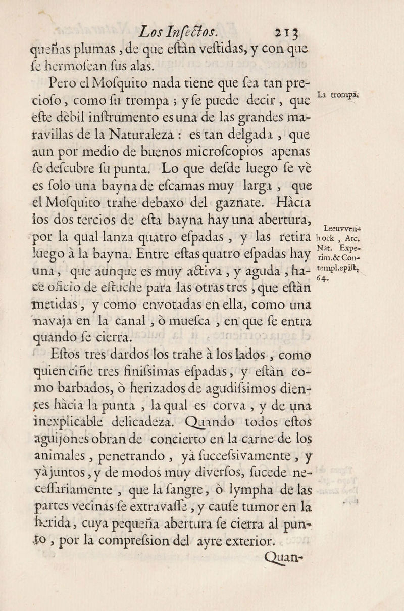 quenas plumas, de que eílán vellidas, y con que fe hermoíean fus alas. Pero el Mofquito nada tiene que fea tan pre- ciofo, como fu trompa 5 y fe puede decir , que elle débil inftrumento es una de las grandes ma¬ ravillas de la Naturaleza : es tan delgada , que aun por medio de buenos microfcopios apenas fe defcubre fu punta. Lo que defde luego fe ve es folo una bay na de efcamas muy larga , que el Mofquito trahe debaxo del gaznate. Hacia los dos tercios de ella bayna hay una abertura, por la qual lanza quatro efpadas , y las retira luego á la bayna. Entre ellas quatro efpadas hay una, que aunque es muy adiva , y aguda , ha¬ ce oficio de eílache para las otras tres, que eílán metidas, y como envotadas en ella, como una navaja en la canal, ó muefca , en que fe entra quando fe cierra. Ellos tres dardos los trahe á los lados , como quienciñe tres finifsimas efpadas, y eílán co¬ mo barbados, ó herizados de agudifsimos dien¬ tes hacia la punta , la qual es corva , y de i¿na inexplicable delicadeza. Quando todos ellos aguijones obran de concierto en la carne de los animales, penetrando , ya fuccefsivamente , y ya juntos, y de modos muy diverfos, fucede ne- ceflariamente , quelafangre, 6 lympha délas partes vecinas fe extravaííe, y caufe tumor en la herida, cuya pequeña abertura fe cierra al pun¬ to , por la comprefsion del ayre exterior. Quan- La trompa; Leeuwen- hock , Are. Nat. Expe- rim.&amp; C011- templ.epift. 64,