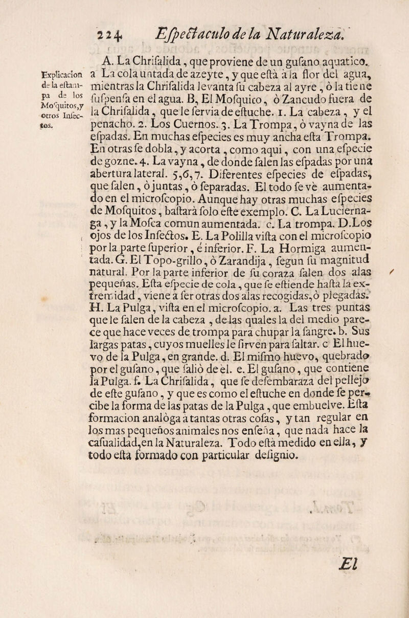 Explicación de la ella: li¬ pa ds los Mo'quitos,y ©tros Infec¬ tos. 224* Efpeffi aculo de la Naturaleza. A. La Chrifalida, que proviene de un gufano aquatico. a La cola untada de azeyte, yqueeítá a Ja flor del agua, mientras la Chrifalida levanta fu cabeza al ayre , 6 la tie ne fufpenfa en el agua. B, El Mofquico, ó Zancudo fuera de la Chrifalida, queíeferviadeeítuche. 1. La cabeza, y el penacho. 2. Los Cuernos. 3. La Trompa, ó vayna de las efpadas. En muchas efpecies es muy ancha eíta Trompa. En otras fe dobla, y acorta, como aqui, con una efpecie de gozne. 4. La vayna, de donde falen las efpadas por una abertura lateral. 5,6,7. Diferentes efpecies de efpadas, que falen, ó juntas, ó feparadas. El todo fe ve aumenta¬ do en el microfcopio. Aunque hay otras muchas efpecies de Mofquitos, bailará folo eíle exemplo. C. La Luciérna¬ ga , y la Mofea común aumentada, c. La trompa. D.Los ojos de los Infe&amp;os. E. La Polilla viíta con el microfcopio por la parte fuperior, é inferior. F. La Hormiga aumen¬ tada. G. El Topo-grillo, ó Zarandija , fegun fu magnitud natural. Por la parte inferior de fu coraza falen dos alas / pequeñas. Eíta eípecie de cola, que fe eítiende haíla la ex¬ tremidad , viene a fer otras dos alas recogidas,ó plegadas. H. La Pulga, villa en el microfcopio. a. Las tres puntas que le falen de la cabeza , dedas quales la del medio pare¬ ce que hace veces de trompa para chupar la fangre* b. Sus largas patas, cuyos muelles le íirven para faltar, c El hue¬ vo de la Pulga, en grande, d. El mifmo huevo, quebrado por el gufano, que falió de el. e. El gufano, que contiene la Pulga, f. La Chrifalida, que fe defembaraza del pellejo de eñe gufano, y que es como el eítuche en donde fe per* cibe la forma de las patas de la Pulga, que embuelve. Hila formación analóga a tantas otras cofas, y tan regular en los mas pequeños animales nos enfeña, quenada hace la cafualidad,en la Naturaleza. Todo ella medido en ella, y todo eíta formado con particular deiignio. El