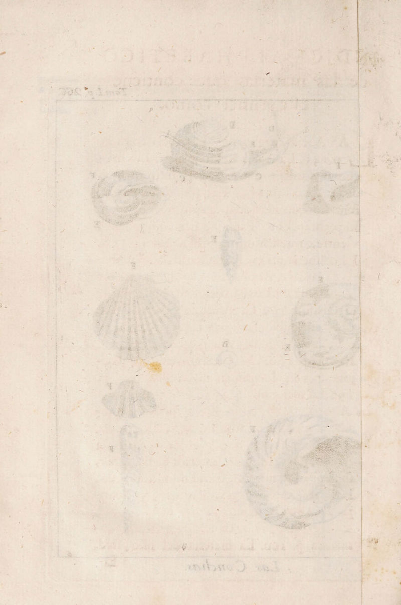 •á O- I * ' ■ ■* í ;?V ' .*■ * > • • • r v , • ■ r' • • •••• • . . 3 ■ ft ■ : * V. V I ■ ’V- - 7i . >; • .. > * ■ V v ^ ,v J . 'V