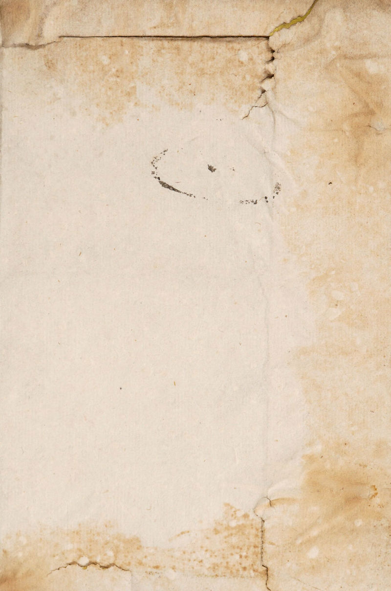 / \ i ■ t i *■ 9* Y • i m, n ... . .«* j ' *v