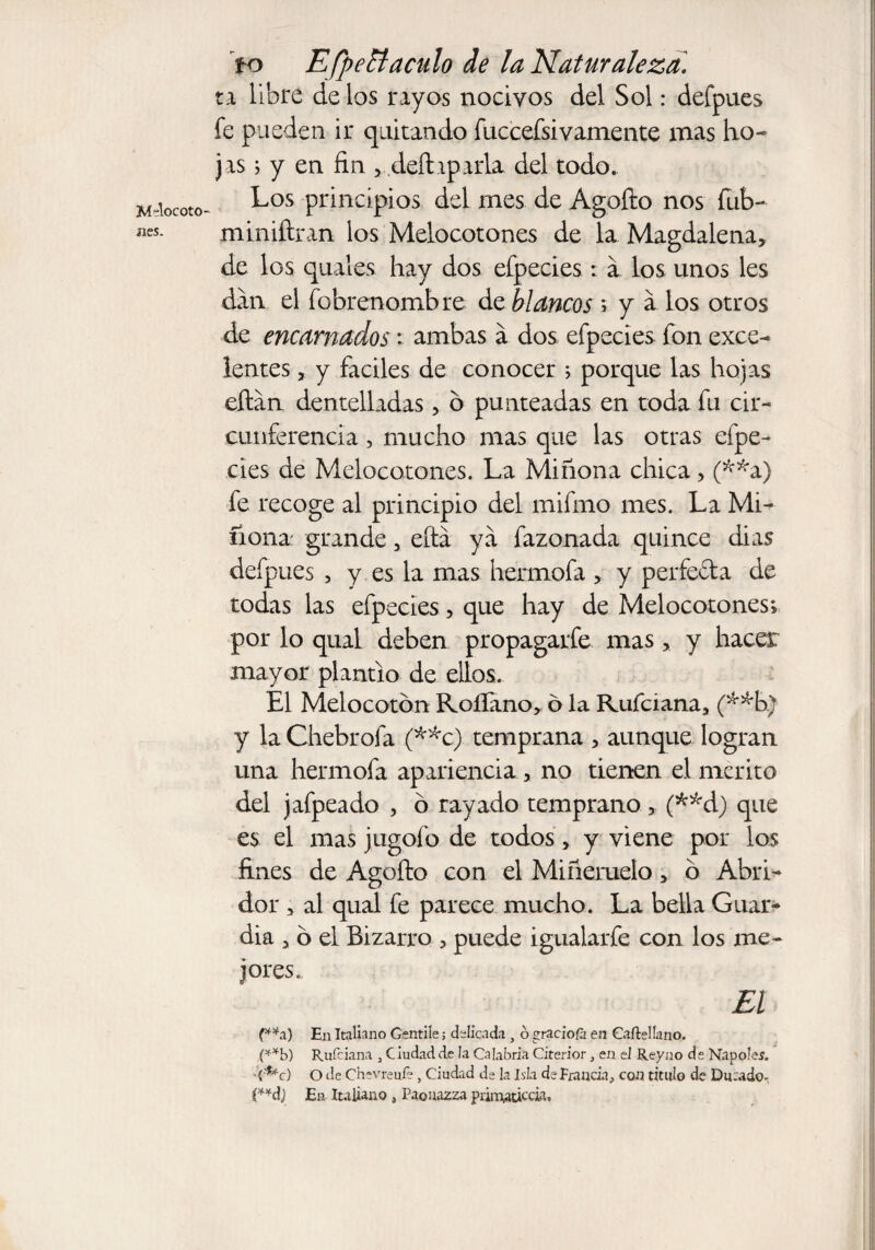 Melocoto «es. to EfpeBaculo de la Naturaleza. ta libre de los rayos nocivos del Sol: defpues fe pueden ir quitando fuccefsivamente mas ho¬ jas > y en fin , deft i parla del todo. Los principios del mes de Agofto nos fub- miniftran los Melocotones de la Magdalena, de los quales hay dos efpecies: a los unos les dan el fobrenombre de blancos ; y a los otros de encarnados: ambas a dos efpecies fon exce¬ lentes , y fáciles de conocer ; porque las hojas eftan dentelladas, ó punteadas en toda fu cir¬ cunferencia , mucho mas que las otras efpe¬ cies de Melocotones. La Miñona chica, (**a) fe recoge al principio del mifmo mes. La Mi¬ ñona grande, eítá ya fazonada quince dias defpues , y es la mas hermofa , y perfecta de todas las efpecies, que hay de Melocotones » por lo qual deben propagarfe mas, y hacer mayor plantío de ellos. El Melocotón Roifano, ó la Rufciana, y la Chebrofa (**c) temprana , aunque logran una hermofa apariencia , no tienen el mérito del jafpeado , ó rayado temprano , (**d) que es el mas jugofo de todos, y viene por los fines de Agofto con el Miñeruelo, ó Abri¬ dor , al qual fe parece mucho. La bella Guar¬ dia , ó el Bizarro , puede igualarfe con los me¬ jores. El (**a) En Italiano Gentile; delicada , ó graciola en Caftelíano. (**b) Rufciana , Ciudad cíe la Calabria Citerior, en el Reyno de Ñapóles. •<-**c) O de Chevreufe, Ciudad de la Isla de Francia, con titulo de Durado-, (**dj En Italiano , Paouazza priirwtic'cia.