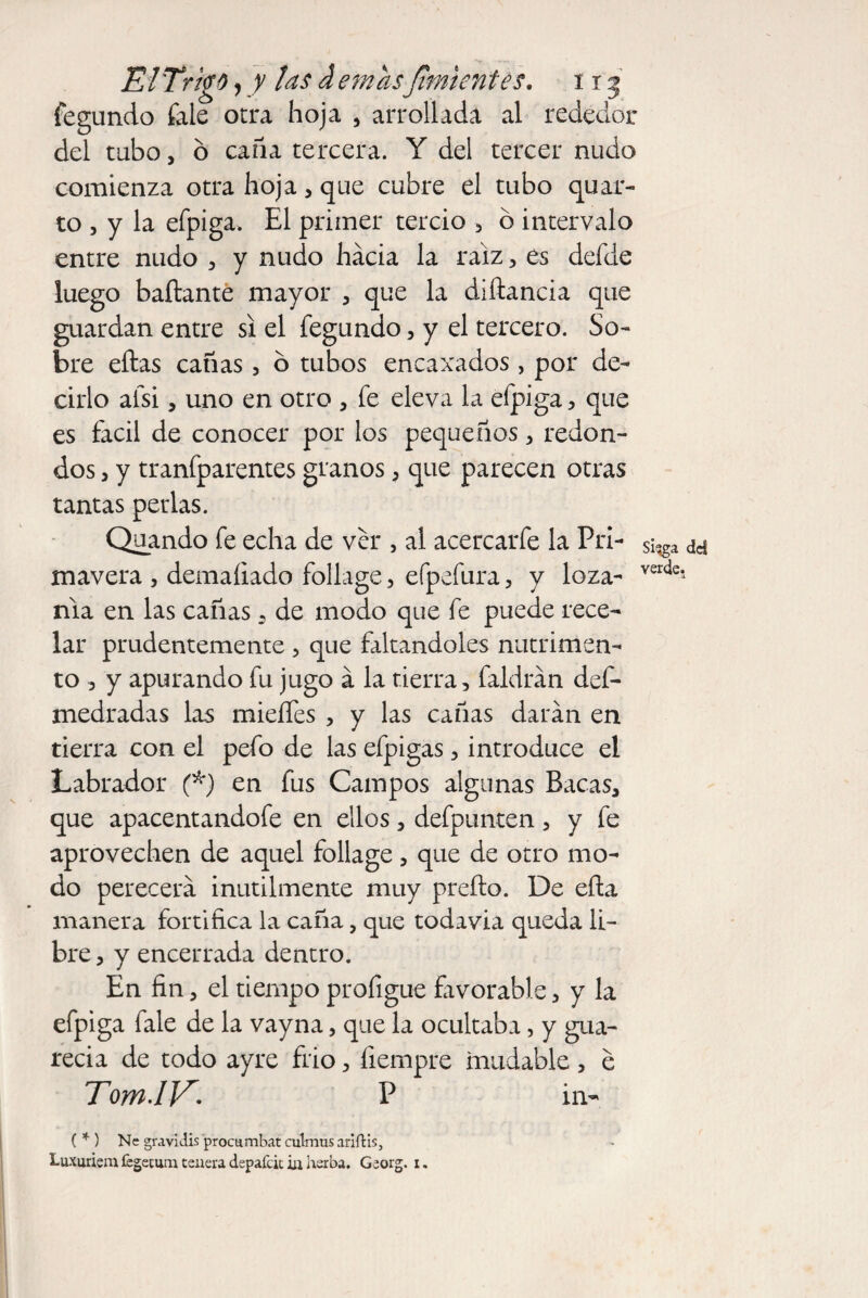 ElTrig* , y tas d emas¡¡mientes, 115 fegundo faie otra hoja , arrollada al rededor del tubo, o caña tercera. Y del tercer nudo comienza otra hoja , que cubre el tubo quar¬ to , y la efpiga. El primer tercio , ó intervalo entre nudo , y nudo hacia la raíz, es defde luego bailante mayor , que la diílancia que guardan entre si el fegundo, y el tercero. So¬ bre ellas cañas, d tubos encaxados, por de¬ cirlo aisi, uno en otro , fe eleva la efpiga, que es fácil de conocer por los pequeños , redon¬ dos , y tranfparentes granos , que parecen otras tantas perlas. Quando fe echa de ver , al acercarfe la Pri- s¡.ga dd mavera , demaíiado foliage , efpefura , y loza- verde5 nia en las cañas 5 de modo que fe puede rece¬ lar prudentemente , que faltándoles nutrimen¬ to 5 y apurando fu jugo á la tierra, faldrán def- medradas las mieífes , y las cañas darán en tierra con el pefo de las efpigas, introduce el Labrador (*) en fus Campos algunas Bacas, que apacentandofe en ellos, defpunten, y fe aprovechen de aquel foliage, que de otro mo¬ do perecerá inútilmente muy preíio. De ella manera fortifica la caña, que todavía queda li¬ bre , y encerrada dentro. En fin, el tiempo proíigue favorable, y la efpiga fale de la vayna, que la ocultaba, y gua¬ recía de todo ay re frió, íiempre mudable , e Tom.1V. P in- ( * ) Nc gravidis procu mbat culmus ariftis,