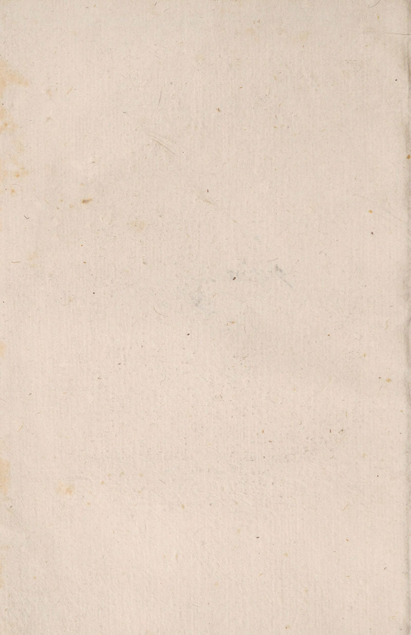 / / 4 % ✓ / , * \ > i ’ 1 t * r J -