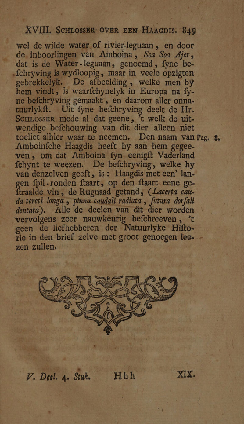 / XVIIL ScHrLossEr OVER EEN HAAGD!S: 849 wel de wilde water of rivier-leguaan , en door de inboorlingen van Amboina, Soa Soa Ajer;, dat is de Water-leguaan, genoemd, fyne be- -fchryving is wydloopig , maar in veele opzigten gebrekkelyk. De afbeelding , welke men by hem vindt, is waarfchynelyk in Europa na fy- ne befchryving gemaakt , en daaromr aller onna- tuurlykft. Uit fyne befchryving deelt de Hr. _SCHLOSSER mede al dat geene, ’t welk de uit- wendige befchouwing van dit dier alleen niet toeliet alhier waar te neemen. Den naam van Pag. &. Amboinfche Haagdis heeft hy aan hem gegee- ven , om dat Amboina fyn-eenigft Vaderland fchynt te weezen. De befchryving, welke hy van denzelven geeft, is : Haagdis met een’ lan- gen fpil-ronden ftaart, op den ftaart eene ge- ftraalde vin, de Rugnaad getand, (Lacerta cau- da tereti longa , pinna-caudalì radiata , futura dorfalt dentata). Alle de deelen van dit dier worden “vervolgens zeer nauwkeurig befchreeven , ’t geen de liefhebberen der Natuurlyke Hifto- rie in den brief zelve met groot genoegen lee. - zen zullen.