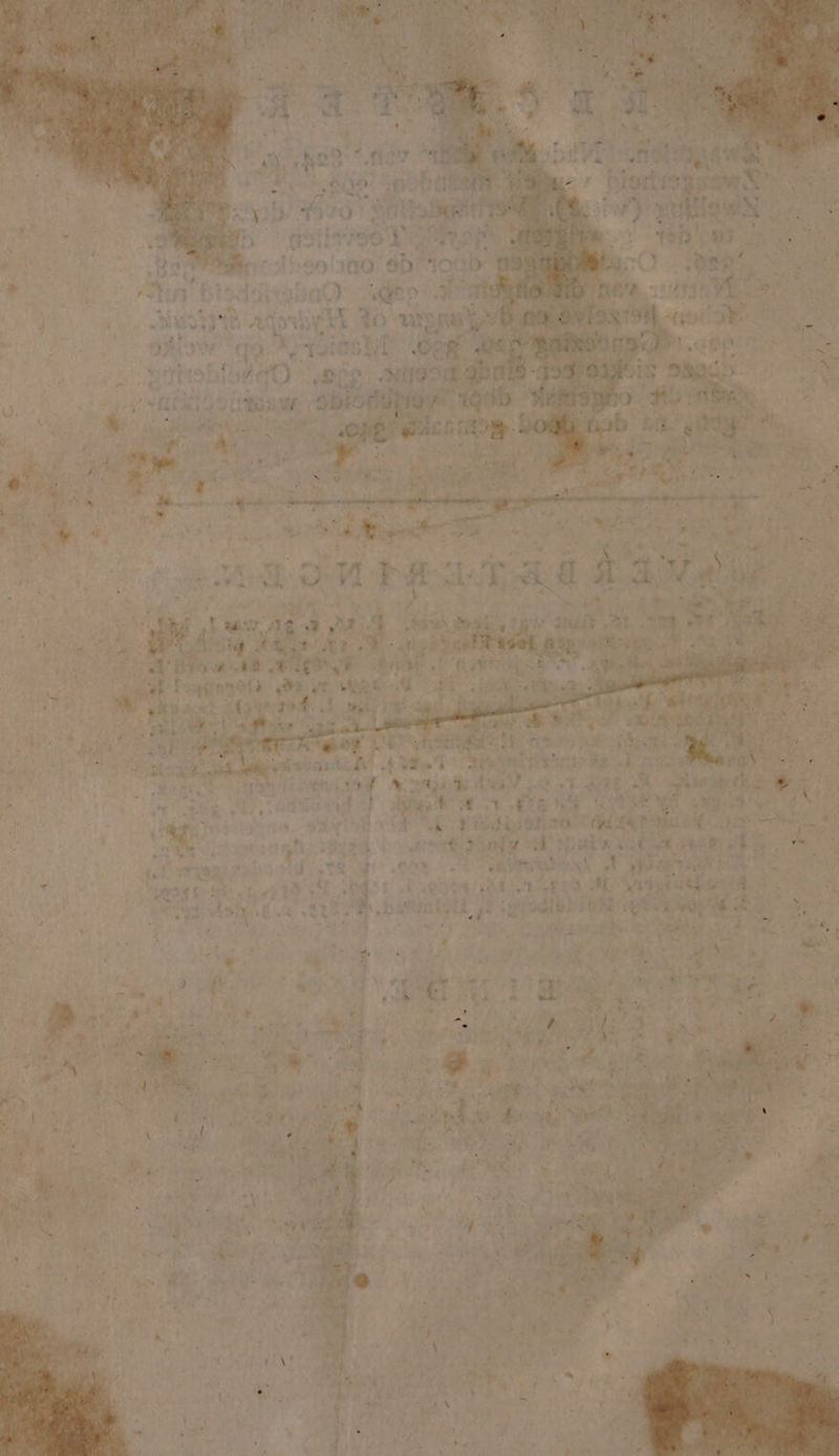 ' pj rot” biotopen tdha HC he # 6 Kd ze He - HE b gntegen ik p NL ) Sn PON 71500 00: Sh IO et id RE Er isde „aa qe . Sh & \ wi ht a me à FP; & ê ë ) dre MEDEE AA gen” EL 20 wiene Dn We Bl do rates ME „Óef 8 OA bil RRS zi - Lt 4: ús É h je racks tn ,abidg De ie op - 4 Gs oe he: 5E, ils A p j Zi k Te Ì Fa k € N yv 4 5e ET Bn WRR: ed 8, B Jd 4 Bet. RA Je A Ee Ee 5 IAF A aha d ape 1e MEN à „br TA WE vn 1d But Rt ad à EN De id ie NA at de ui hed en dt wii 4 rf ; Af st 1 min ae, 6 Ne ie ‚e def _ k eh, di END zt RP, 6 Ke \ : 14 1 wi in vi ka (e Ok ef eek 4 ak Tt ae ne A Rd A ben df De Ede Sat hj pakn ect, zagen de bn,