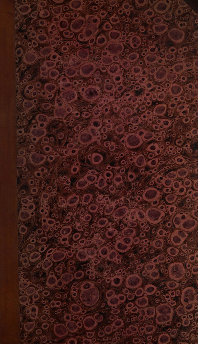 digitised image 1