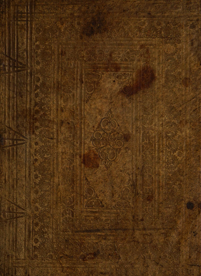 digitised image 1