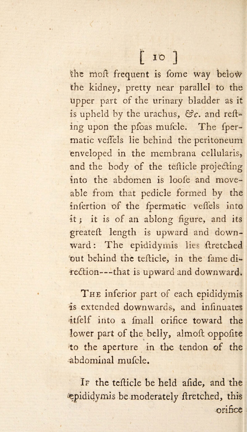 A , > . the molt frequent is fome way below the kidney, pretty near parallel to the upper part of the urinary bladder as it is upheld by the urachus, &amp;c. and rett¬ ing upon the pfoas mufcle. The fper- matic veffels lie behind the peritoneum enveloped in the membrana cellularis, and the body of the teflicle projecting into the abdomen is loofe and move- able from that pedicle formed by the snlertion of the fpermatic veffels into it; it is of an ablong figure, and its greateft length is upward and down¬ ward : The epididymis lies ffretched out behind the tefticle, in the fame di¬ rection—that is upward and downward. The inferior part of each epididymis is extended downwards, and infinuates •itfelf into a fmall orifice toward the lower part of the belly, almoft oppofite to the aperture in the tendon of the abdominal mufcle. If the tefticle be held afide, and the epididymis be moderately ffretched, this orifice