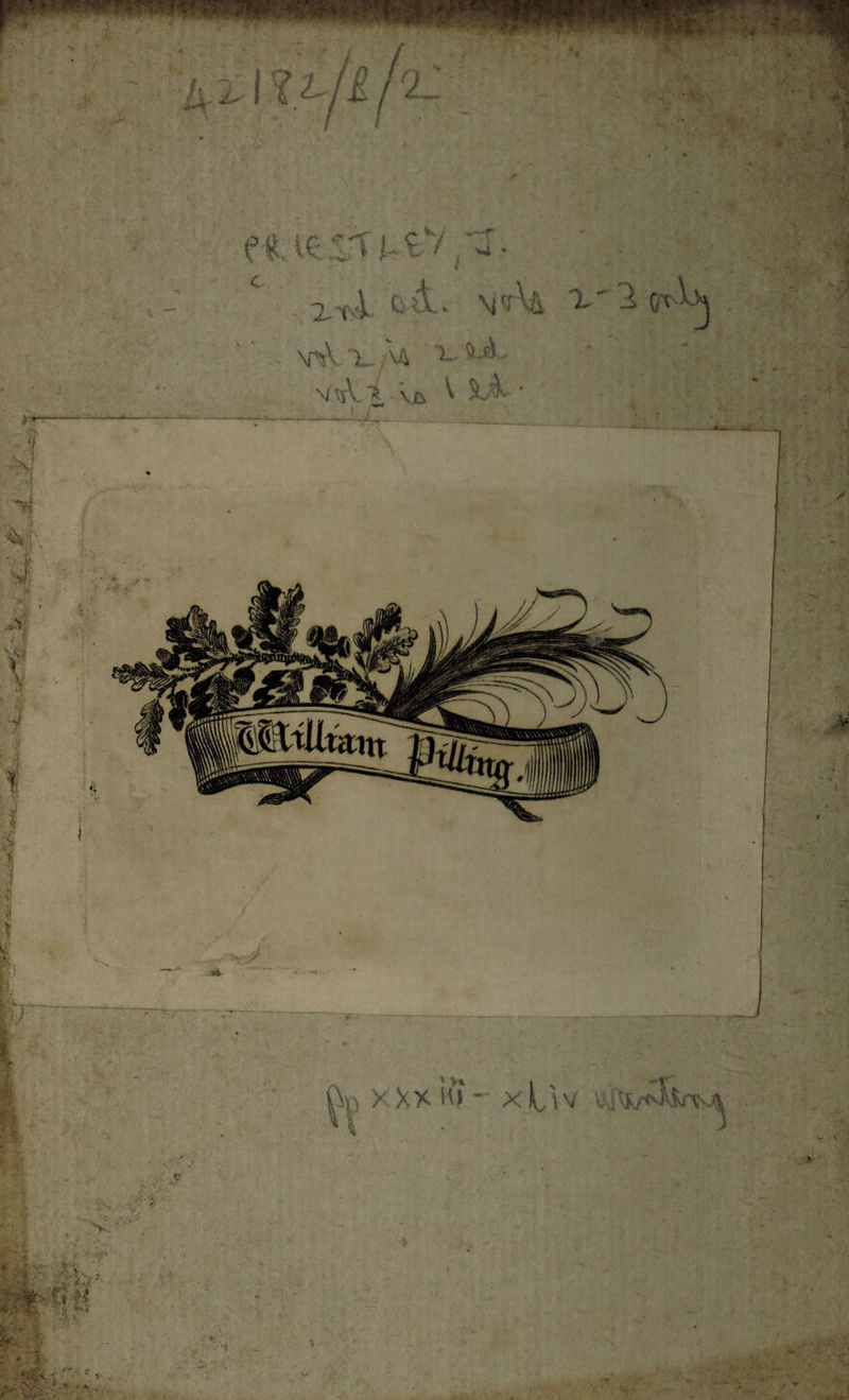 ^ iM. ZM-C/ ■ X'loxK . VsVx M M tfV ^ Vts, ^ * •ff > .,V j > V