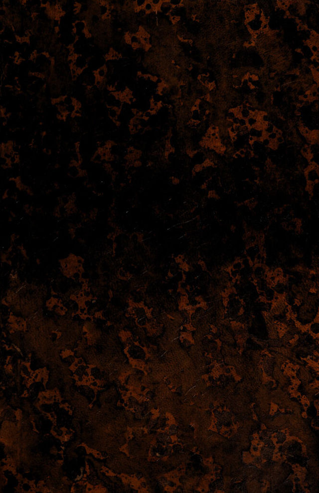 digitised image 1