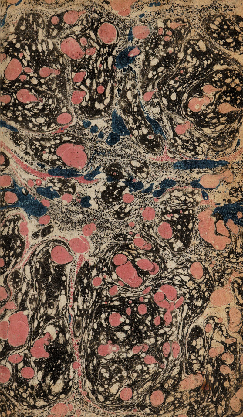 PI,M tMx |$fc' * * M I S^gfeVJ» '*yj W^C^Vy Iji gij r' - ^Prlr}l ' ’ x\8i •• )f {Jbff'T mplm saL \y 119 HByf / f ft £ JSbRw i jljgl J:&\ J (J. tw i Wz*'.\ J Pfœ Wy*jk <x&$w